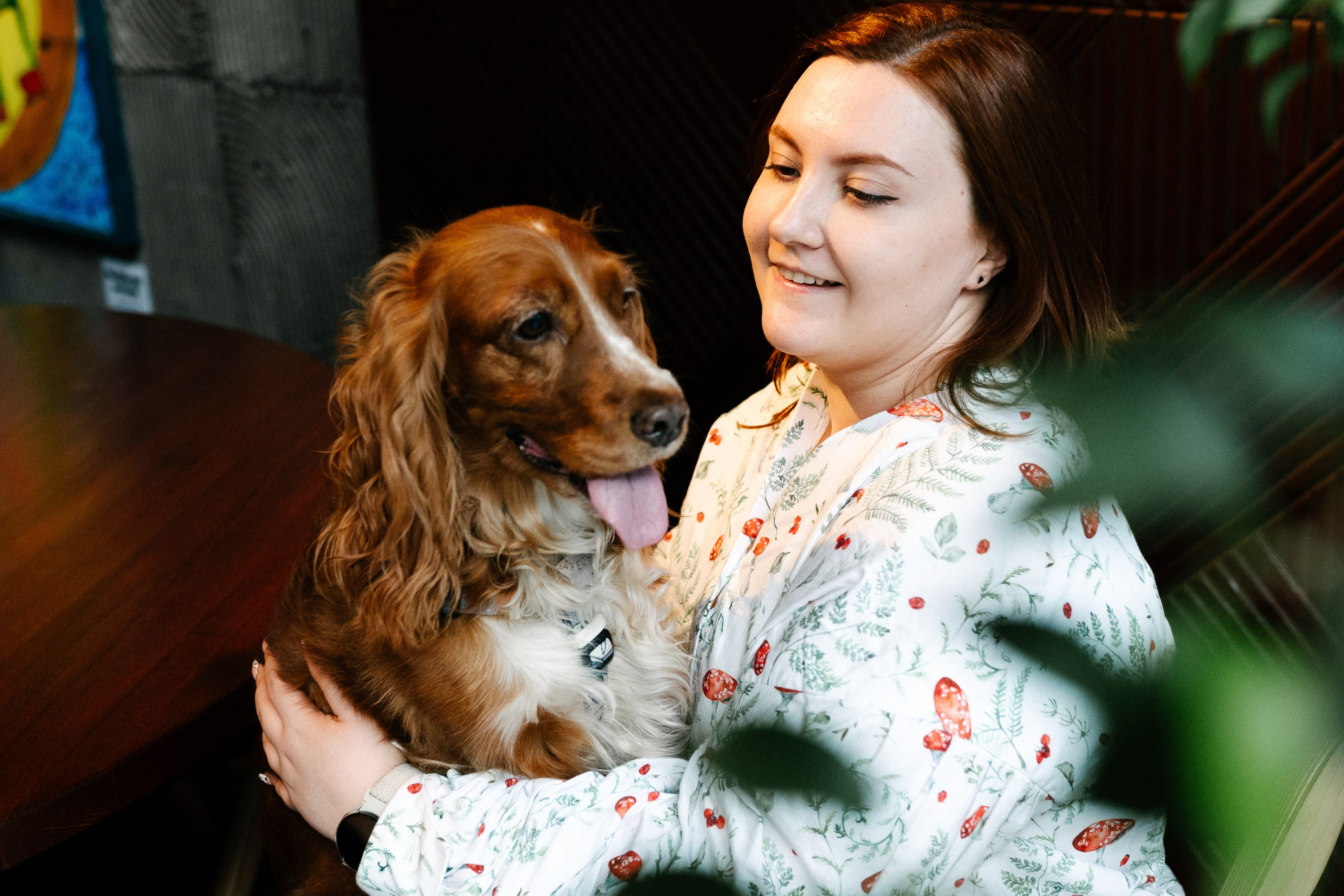 Рыжая команда. Фотограф анималист в Москве Ольга Агушева