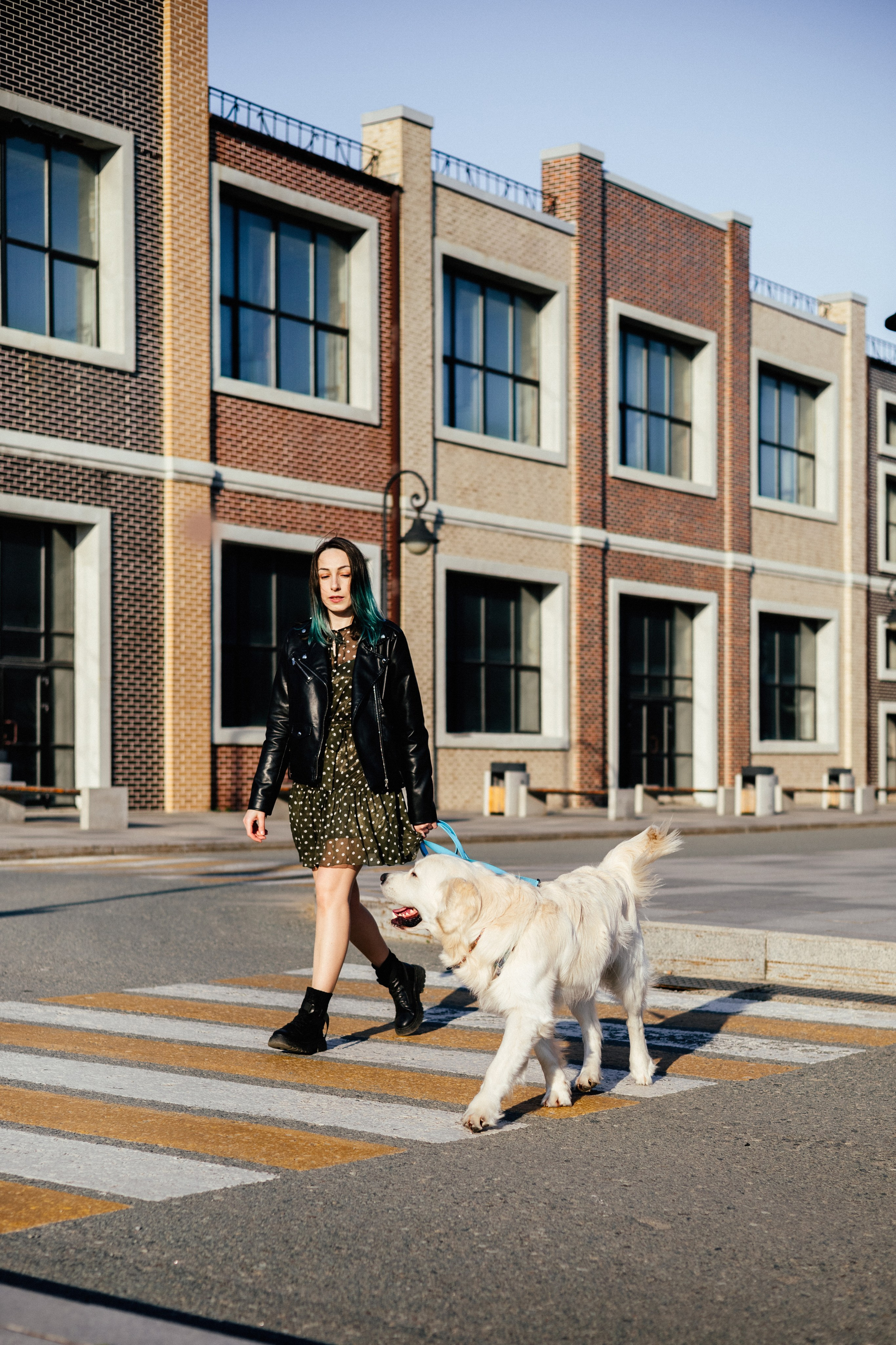 Ира и Байрон. Фотограф — анималист Владивосток, Алина