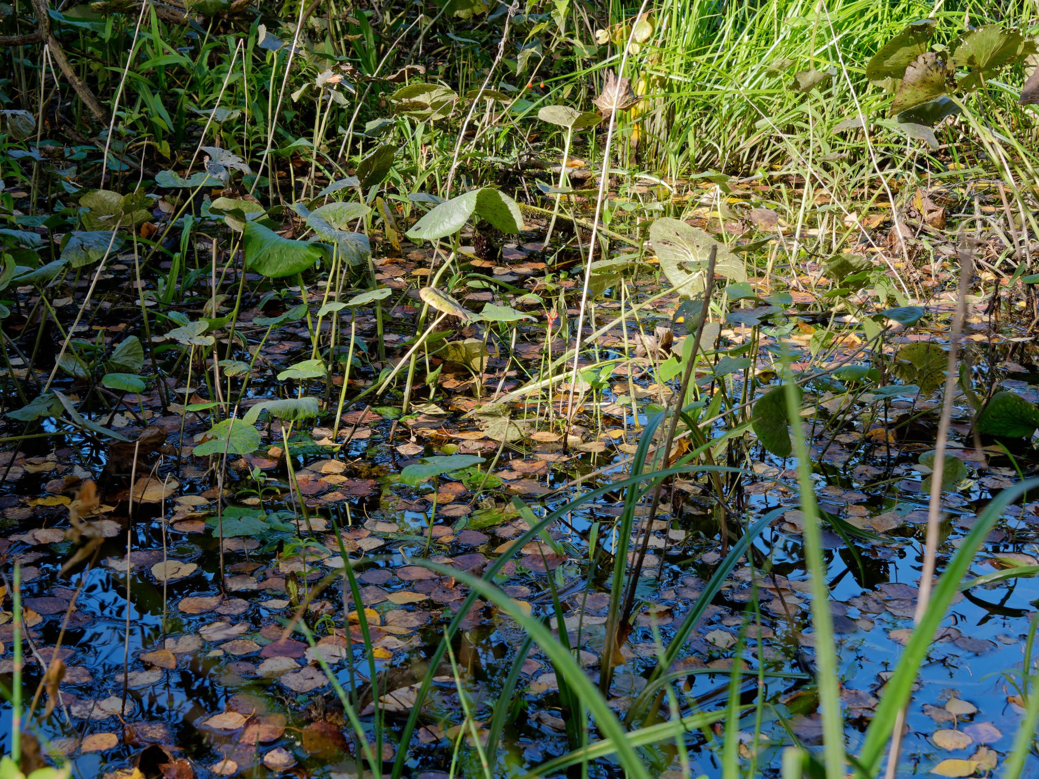 Боровое 2024 (из архива). Избранные фотографии
