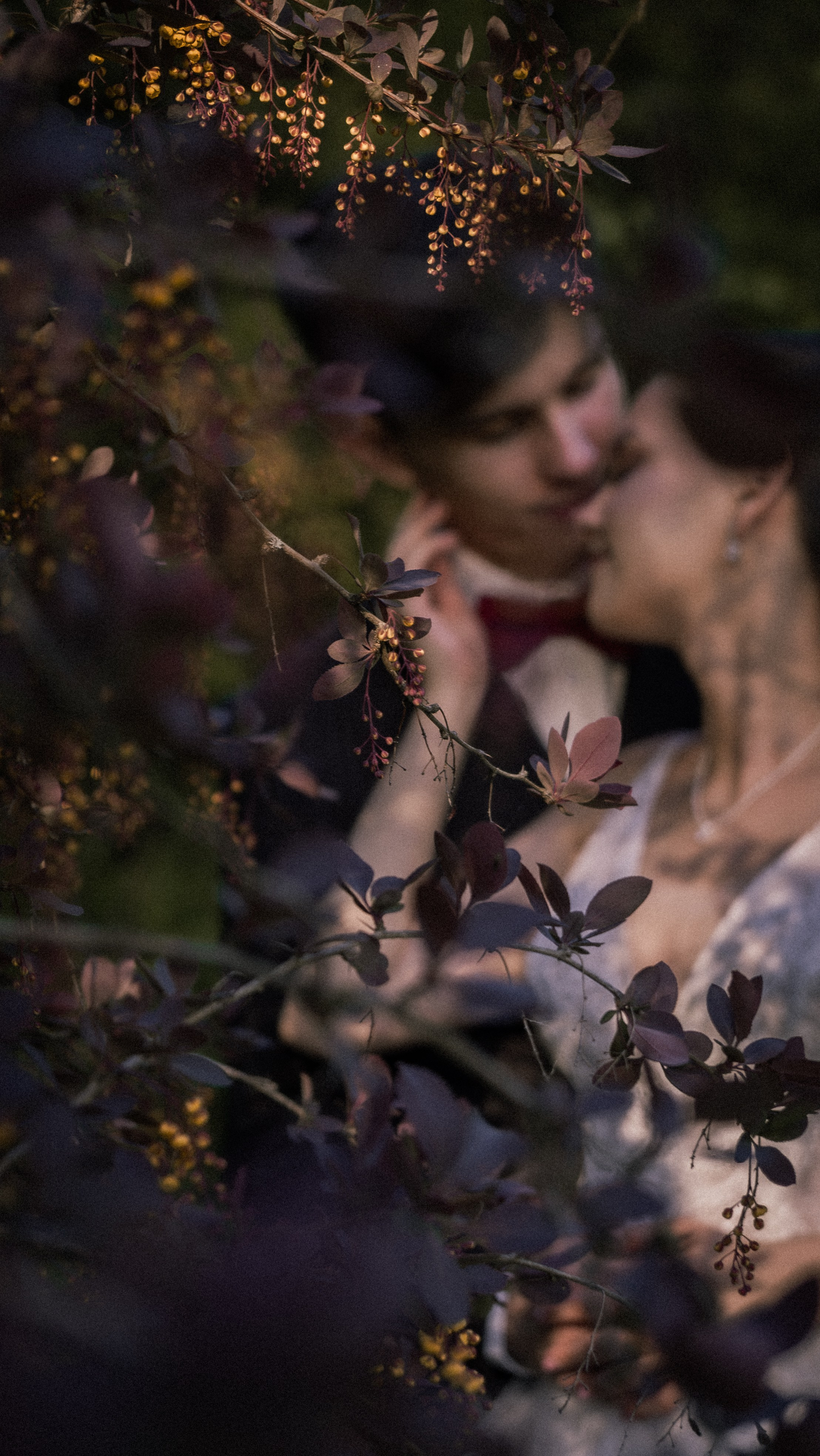 Алина и Арсений. Фотограф и видеограф Андрей Кукишев