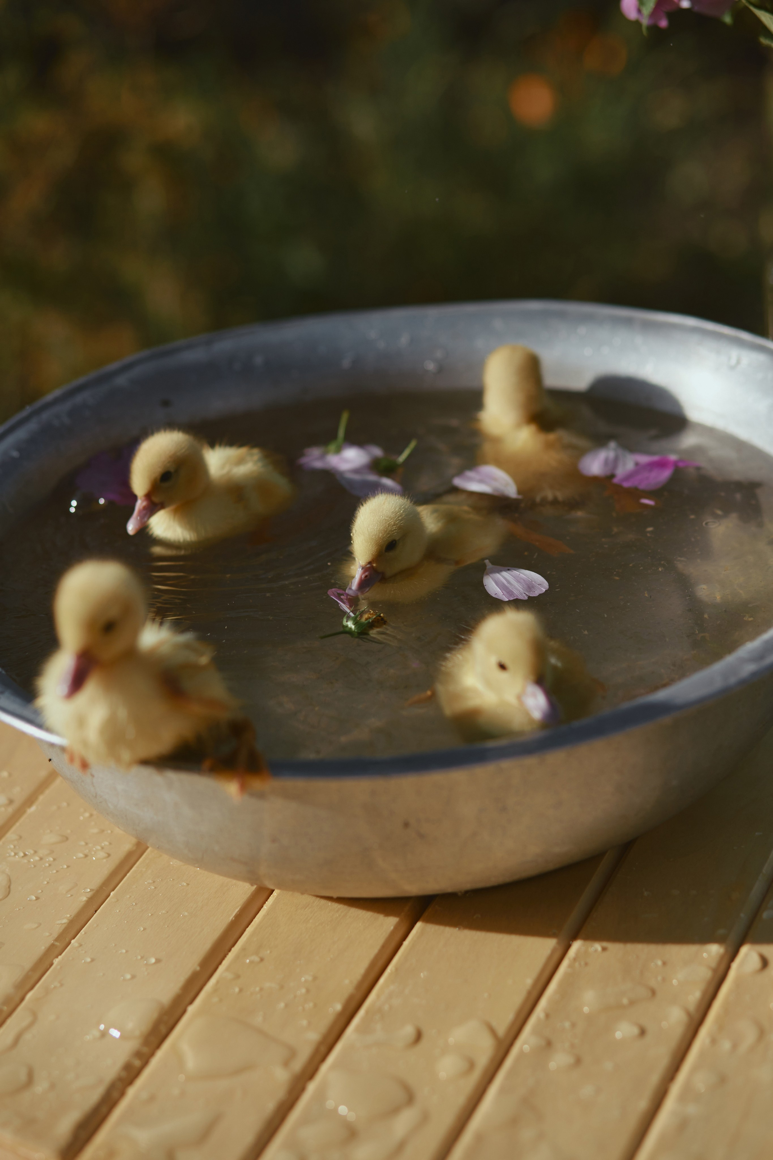 30|07|23. Анастасия Марунич | Блогер | Ставрополь