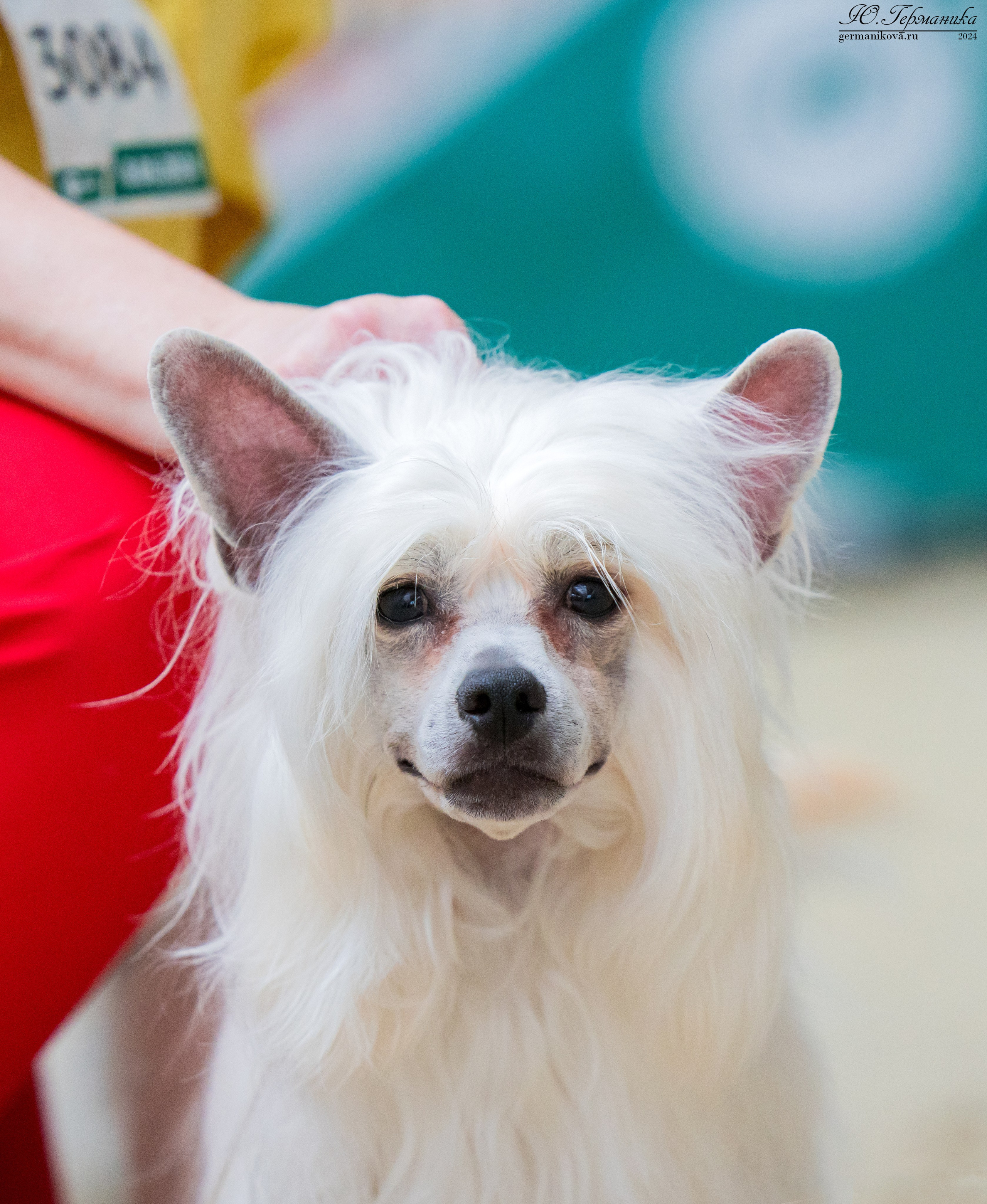 РОССИЯ 8-9.06.2024