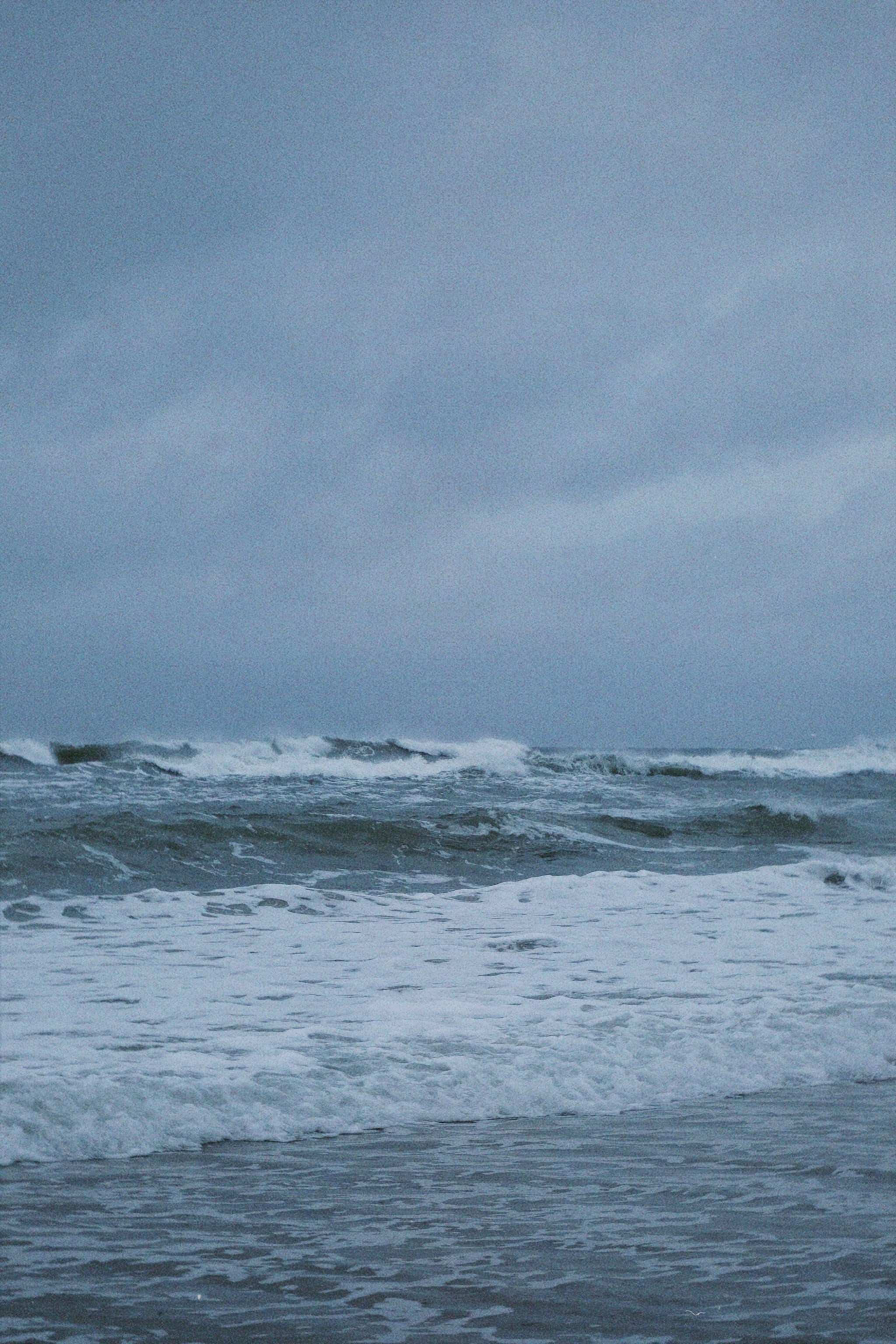 Калининград. Татьян гертье