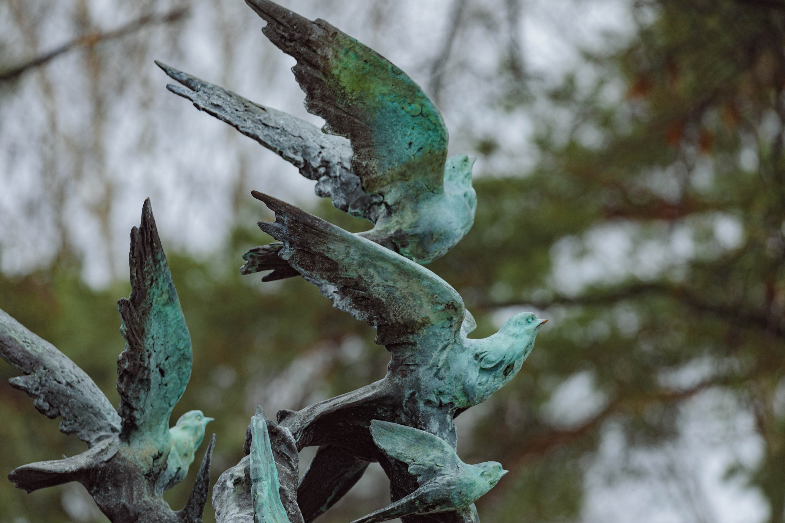 Репортажный и концертный фотограф в Санкт-Петербурге Адмакина Дарья