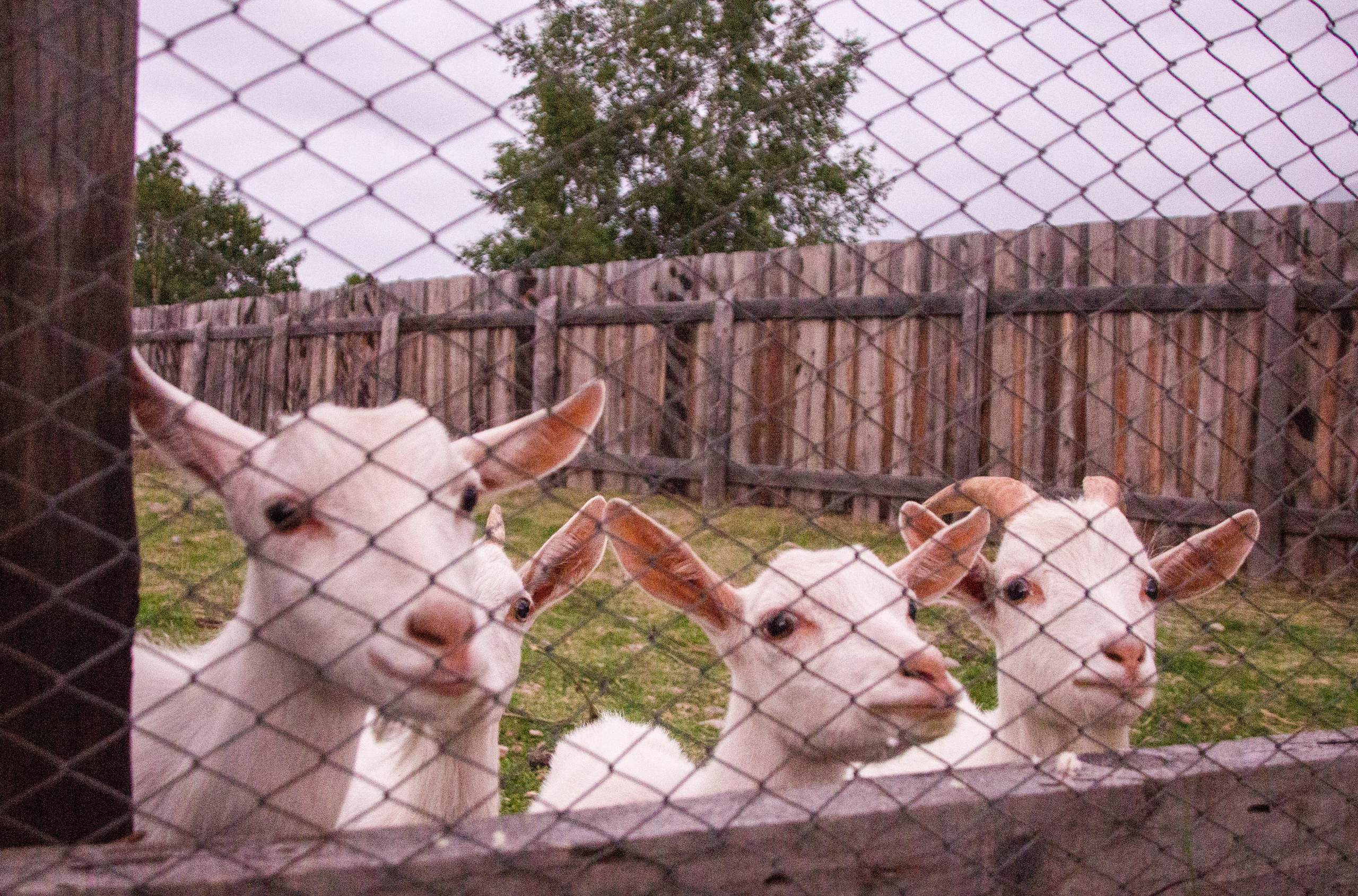 Камчатка, 2018. Портретный фотограф в Москве Евгения Яковенко