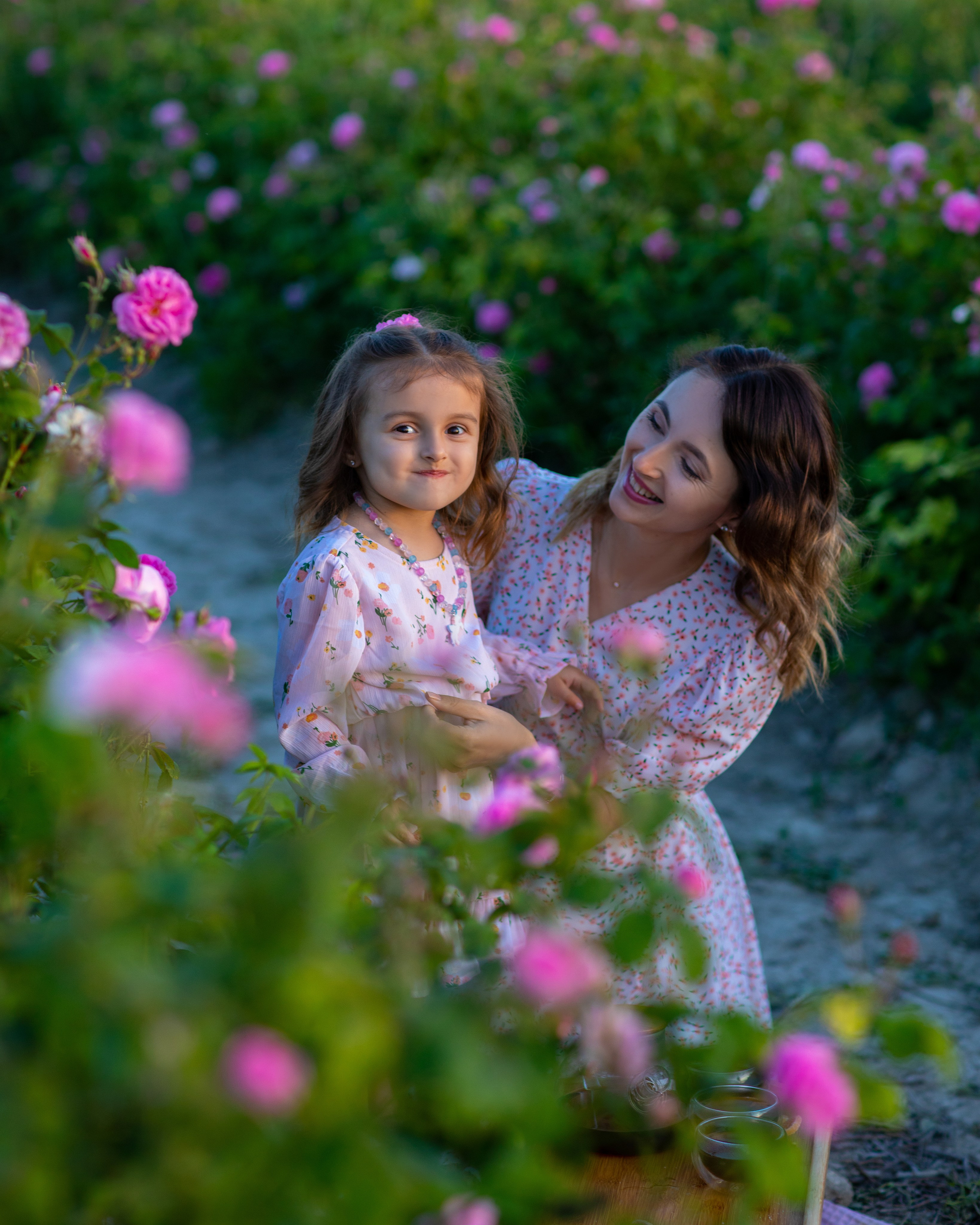 Чайная роза. Фотограф Севастополь/Крым Светлана Евтушенко