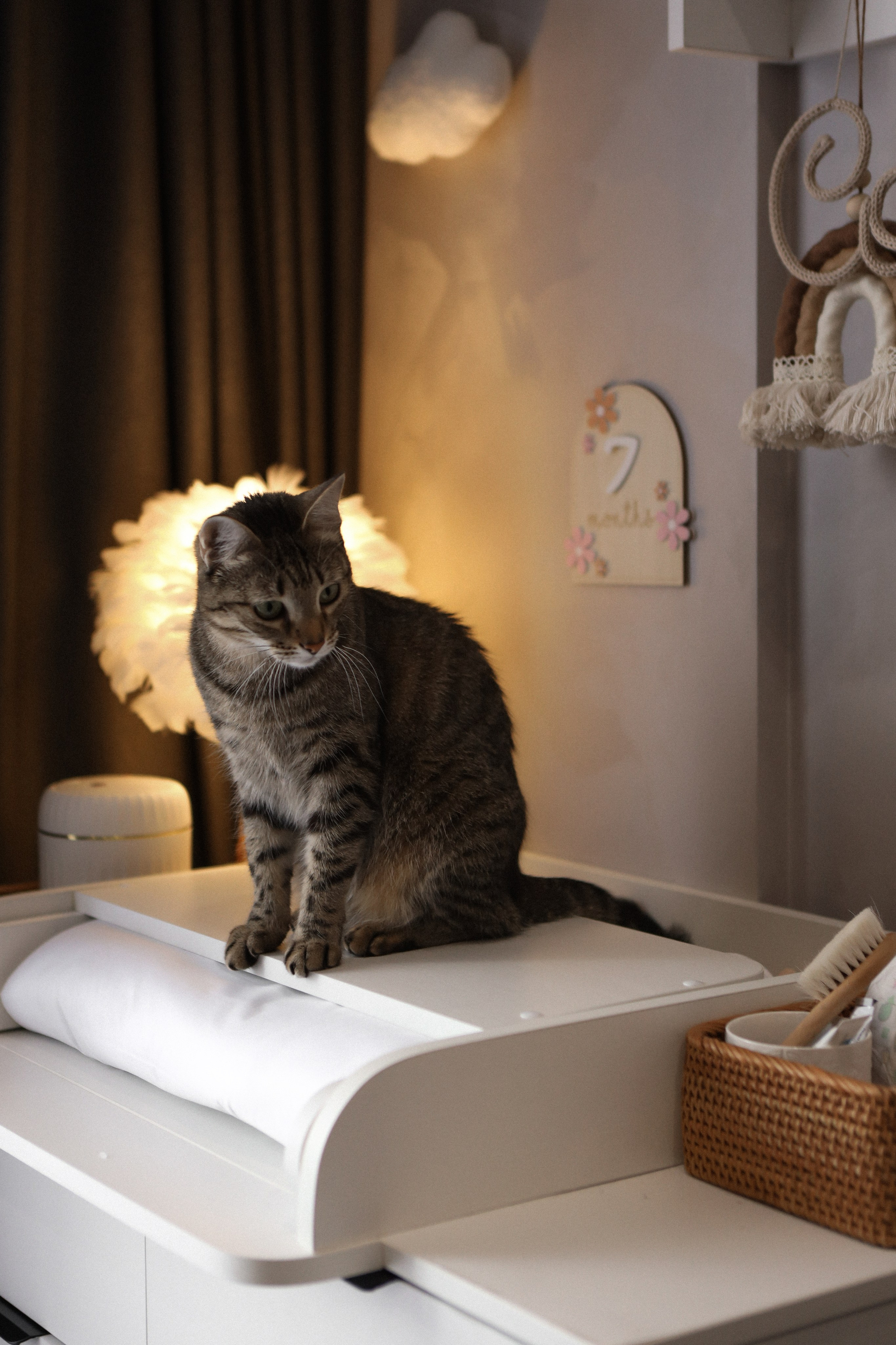 Моя Соня. Фотограф в Крыму Богдана Захарчук