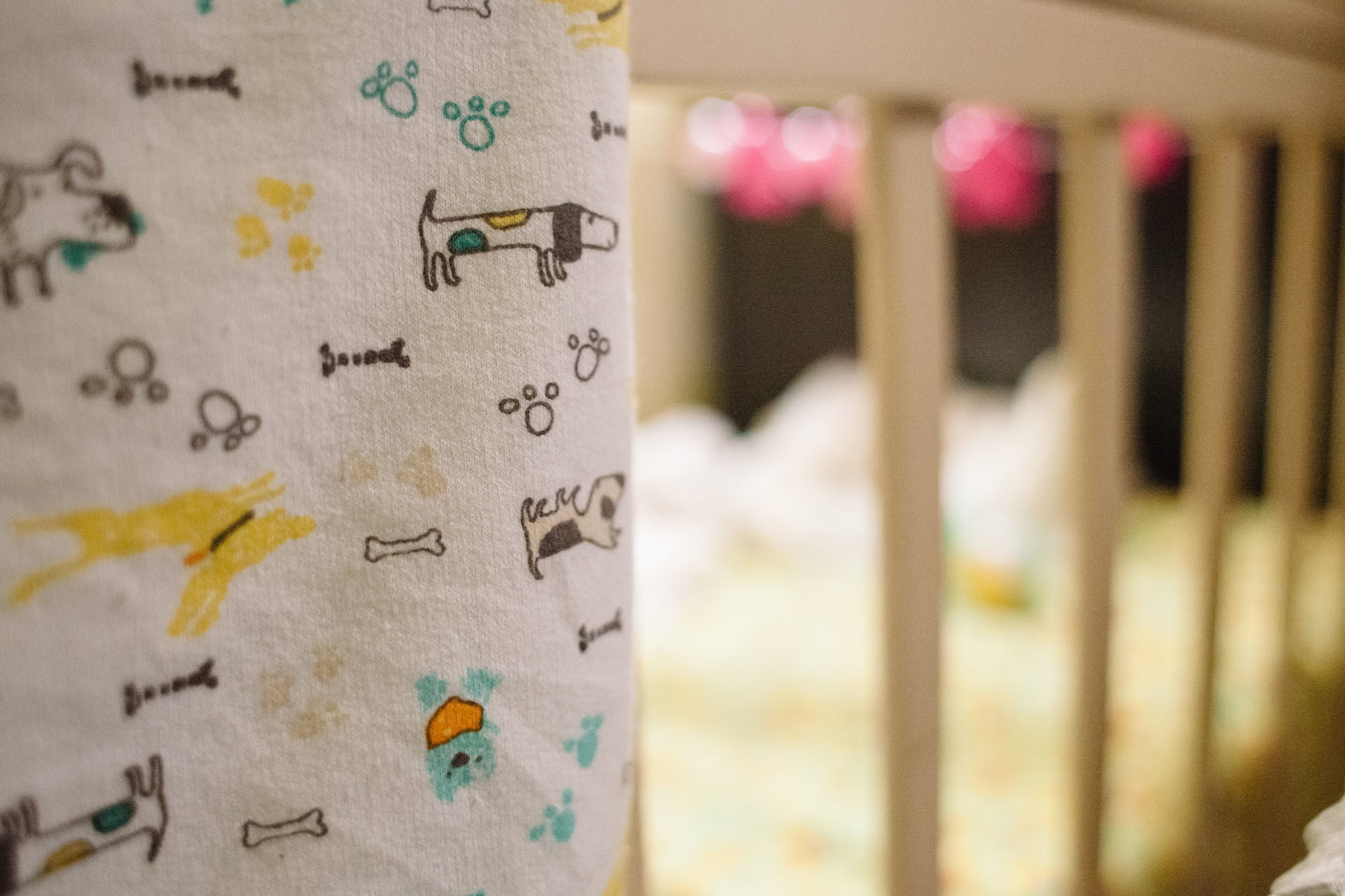 Кира. Семейный и свадебный фотограф в Майкопе Михаил Мартиросян