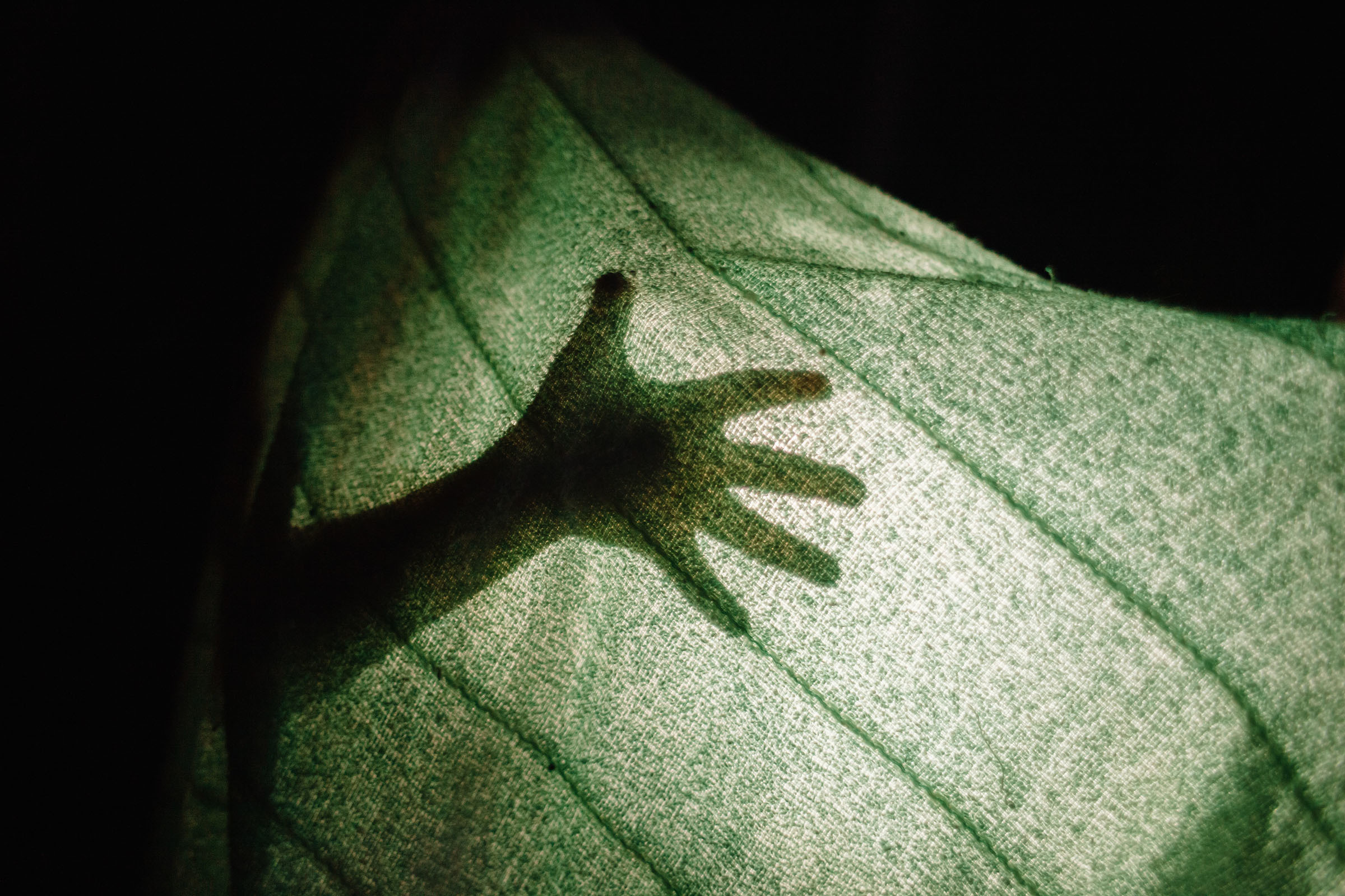 Зимние Самшитики. Семейный и свадебный фотограф в Майкопе Михаил Мартиросян