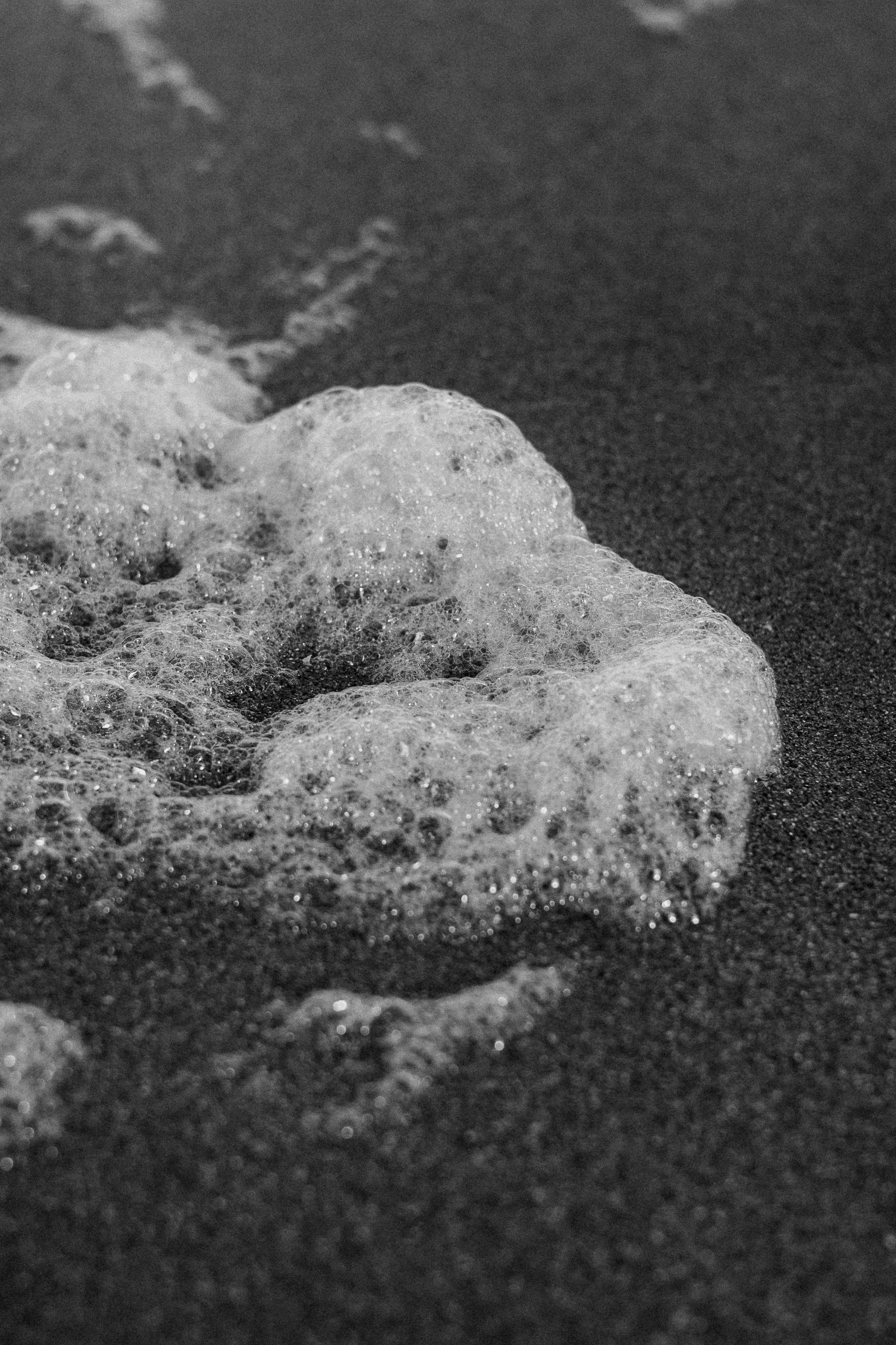 АА. Семейный и свадебный фотограф в Краснодаре Елизавета Замаева