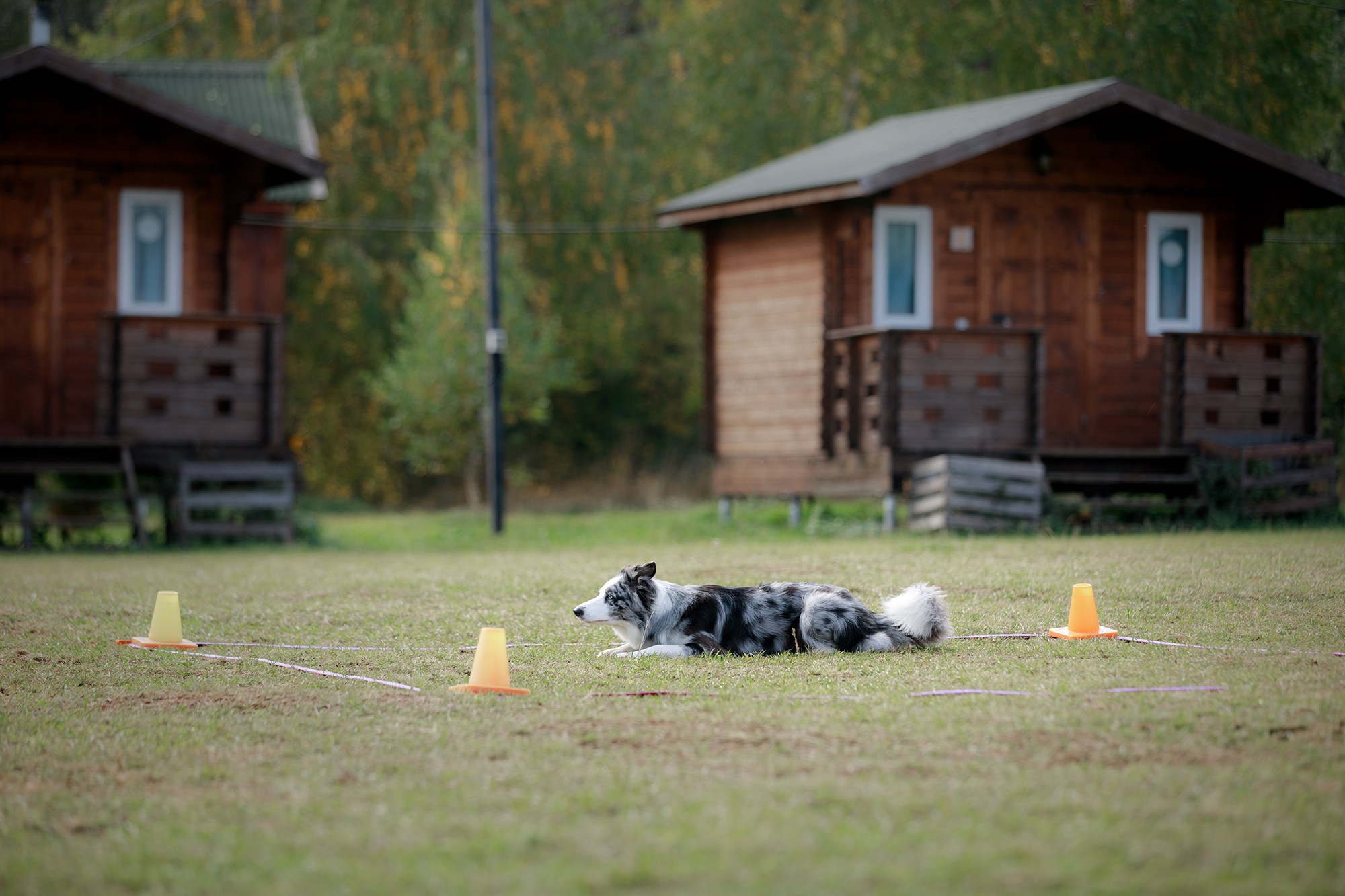 Лагерь по ОБД с Инной Баженовой. Фотограф-анималист Mary Mart — Москва, Питер