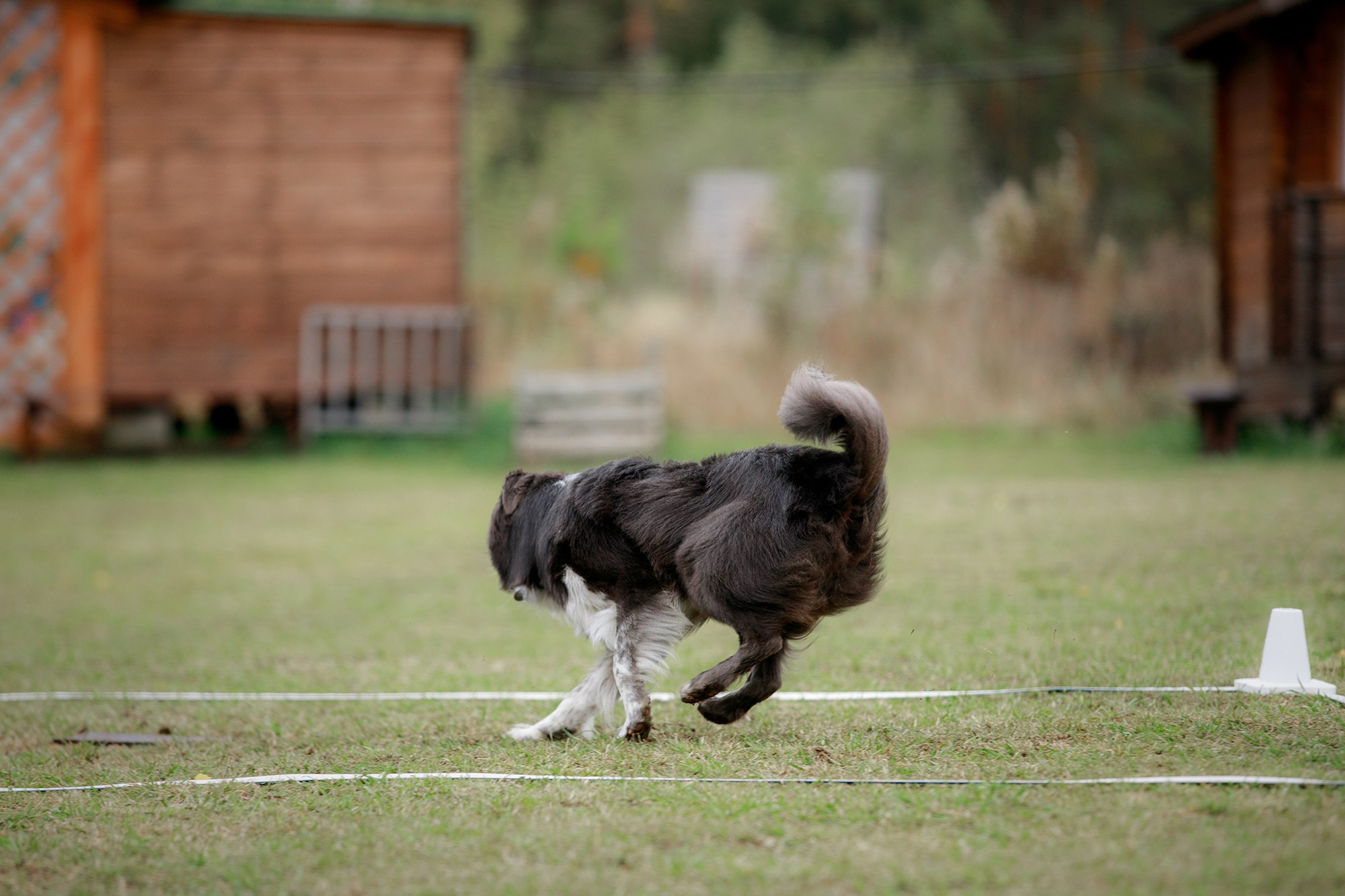 Лагерь по ОБД с Инной Баженовой. Фотограф-анималист Mary Mart — Москва, Питер