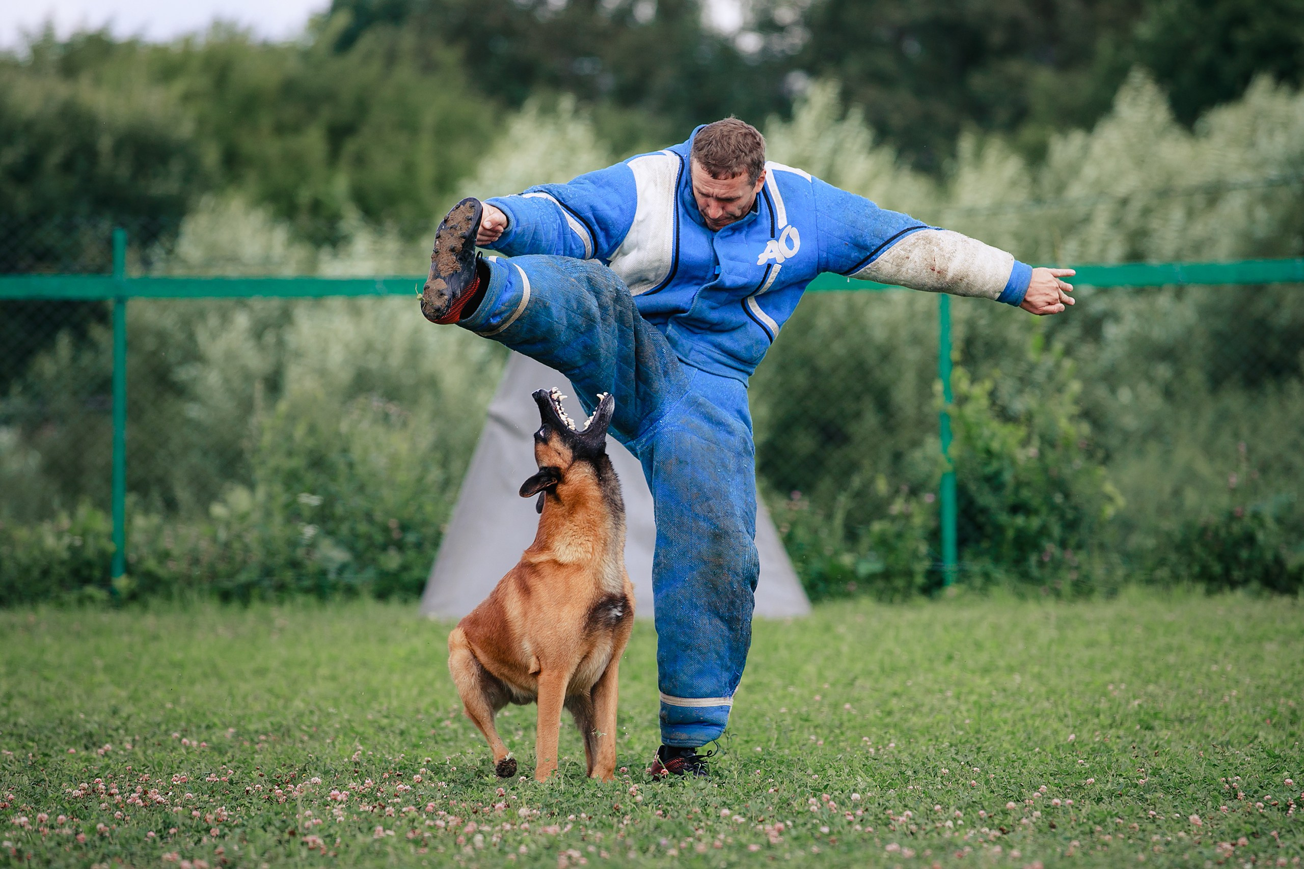 Мондьоринг М1, М2, М3, Вологда. Фотограф-анималист Mary Mart — Москва, Питер