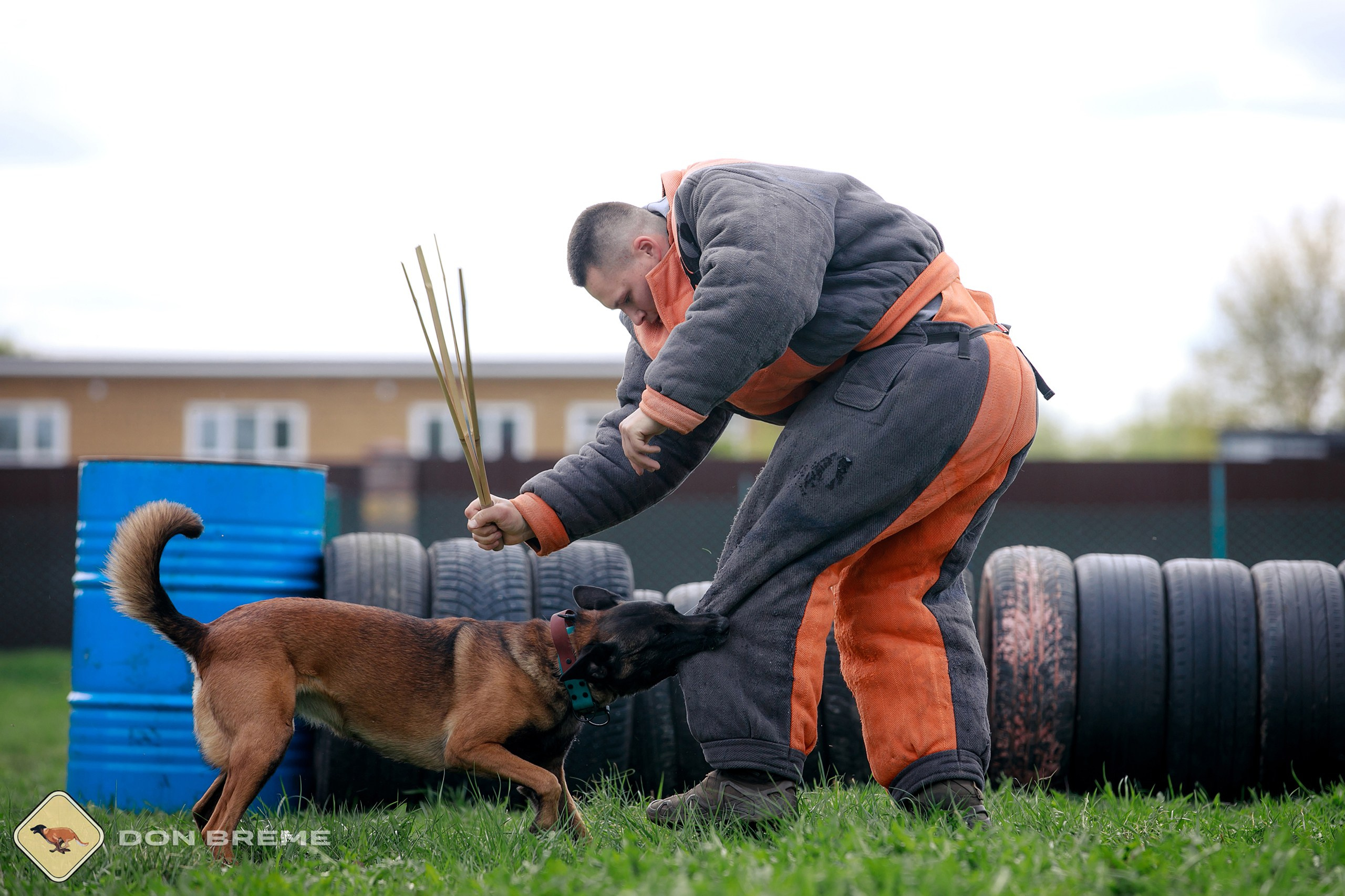 Семинар для фигурантов, день 2. Фотограф-анималист Mary Mart — Москва, Питер