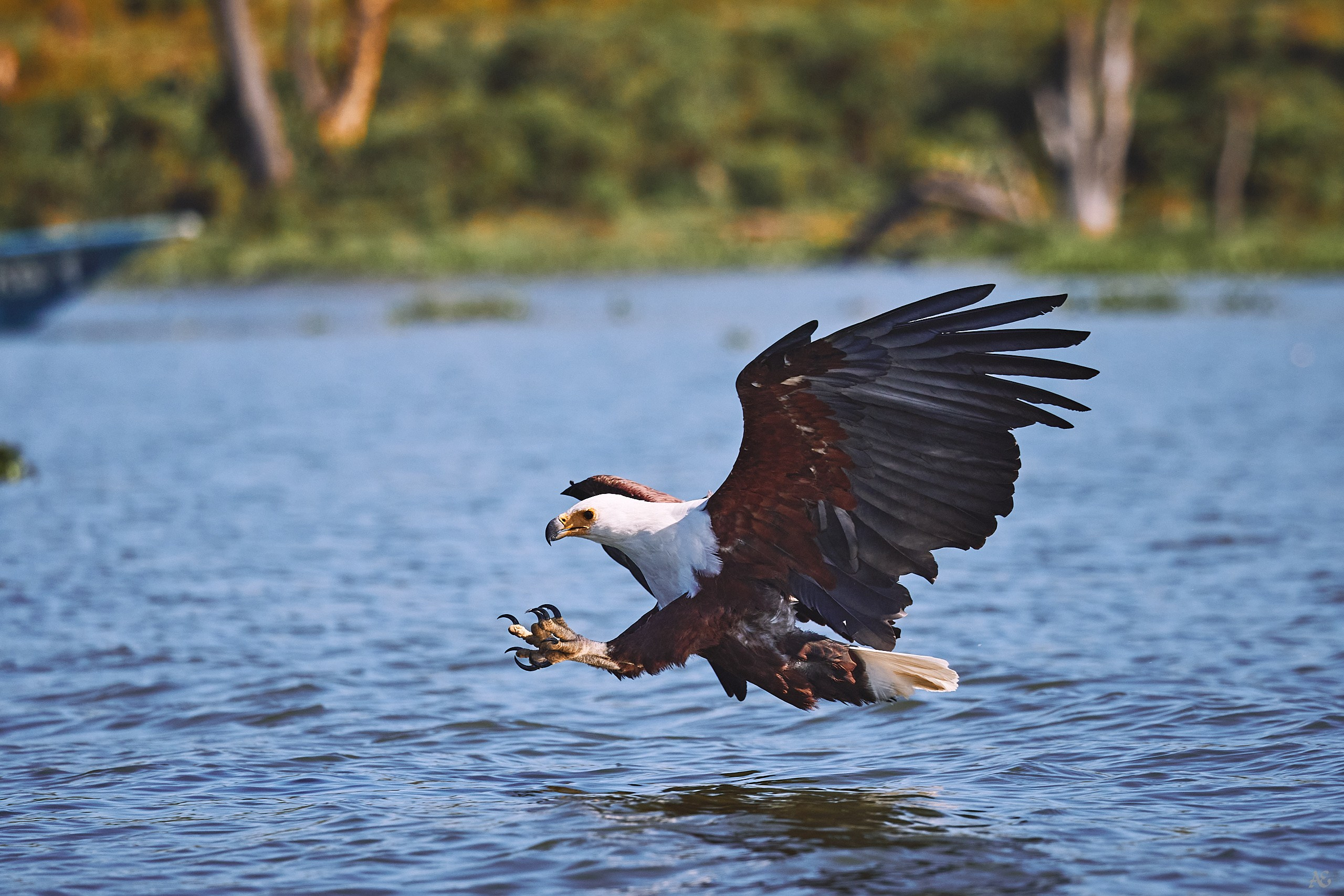 Сейчас прольется чья-то кровь