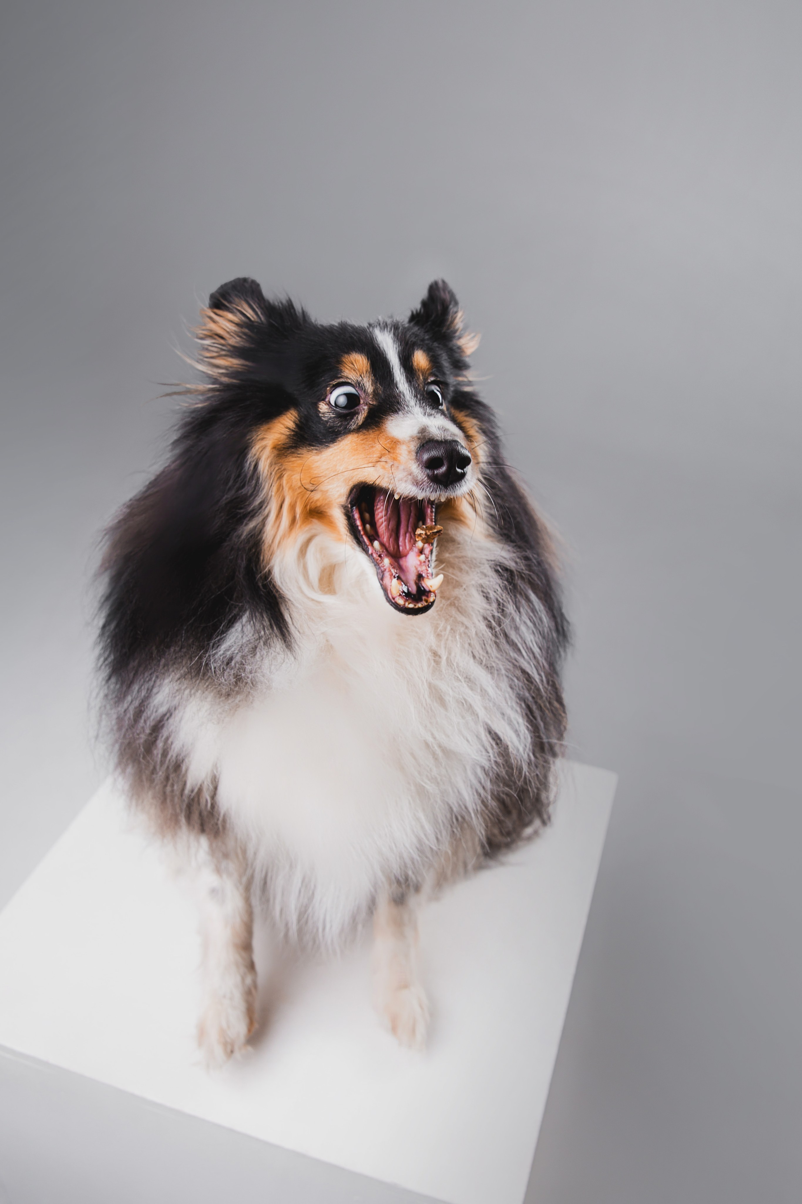 Воркшоп по импульсному свету