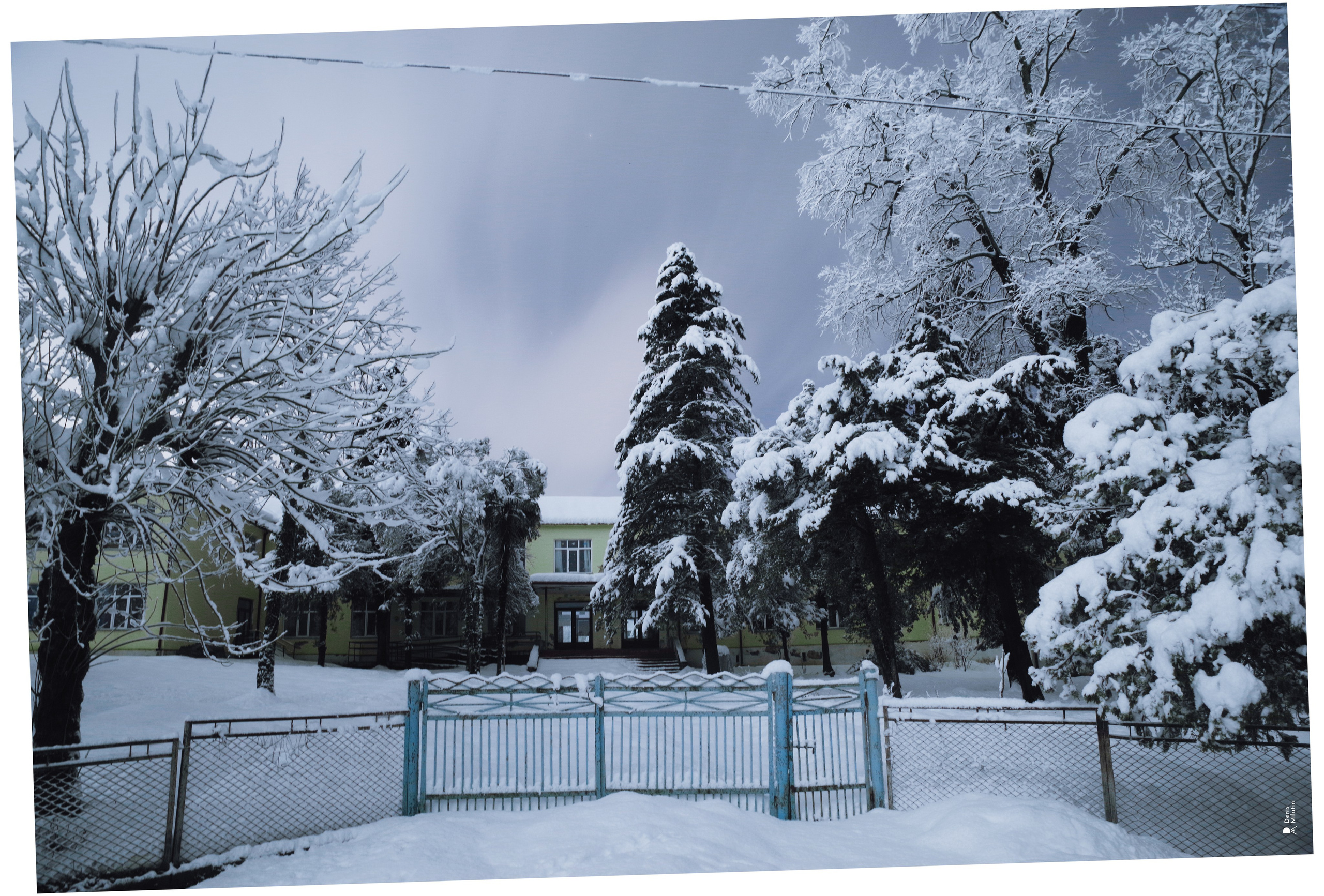 Спящий Менджи зимой. Портретный фотограф Денис Милютин