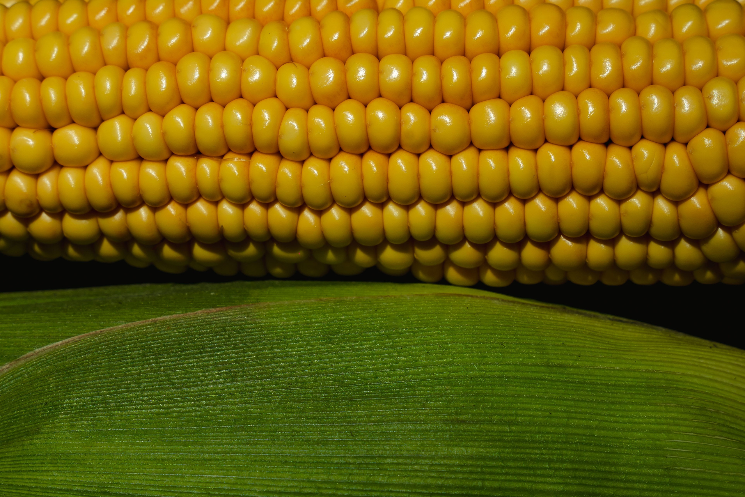 Коммерция. Портретный и событийный фотограф в Барнауле, Москве, Новосибирске