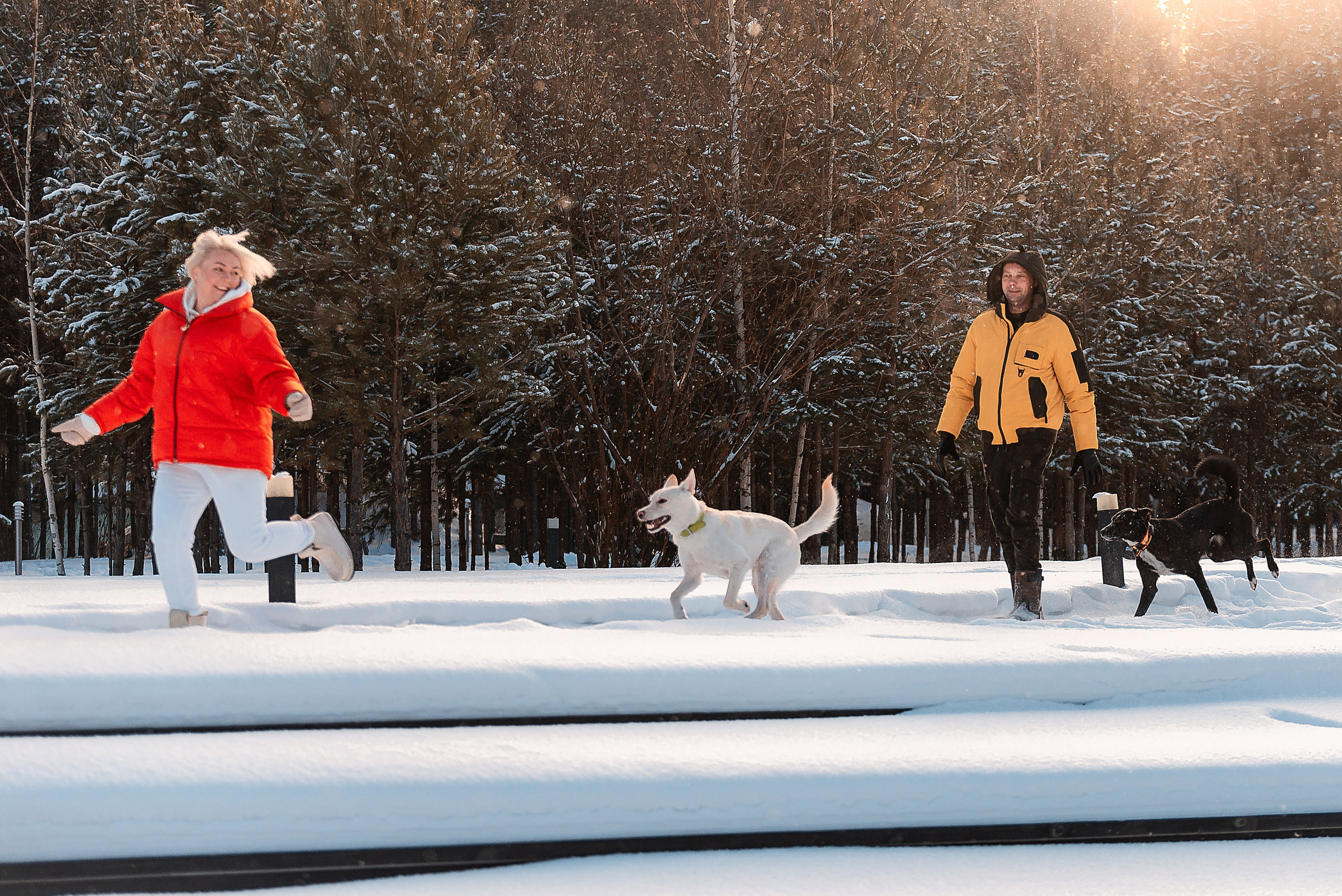 Татьяна, Михаил, Шелли и Лаки. Фотограф-анималист Анастасия Парфенова|Екатеринбург