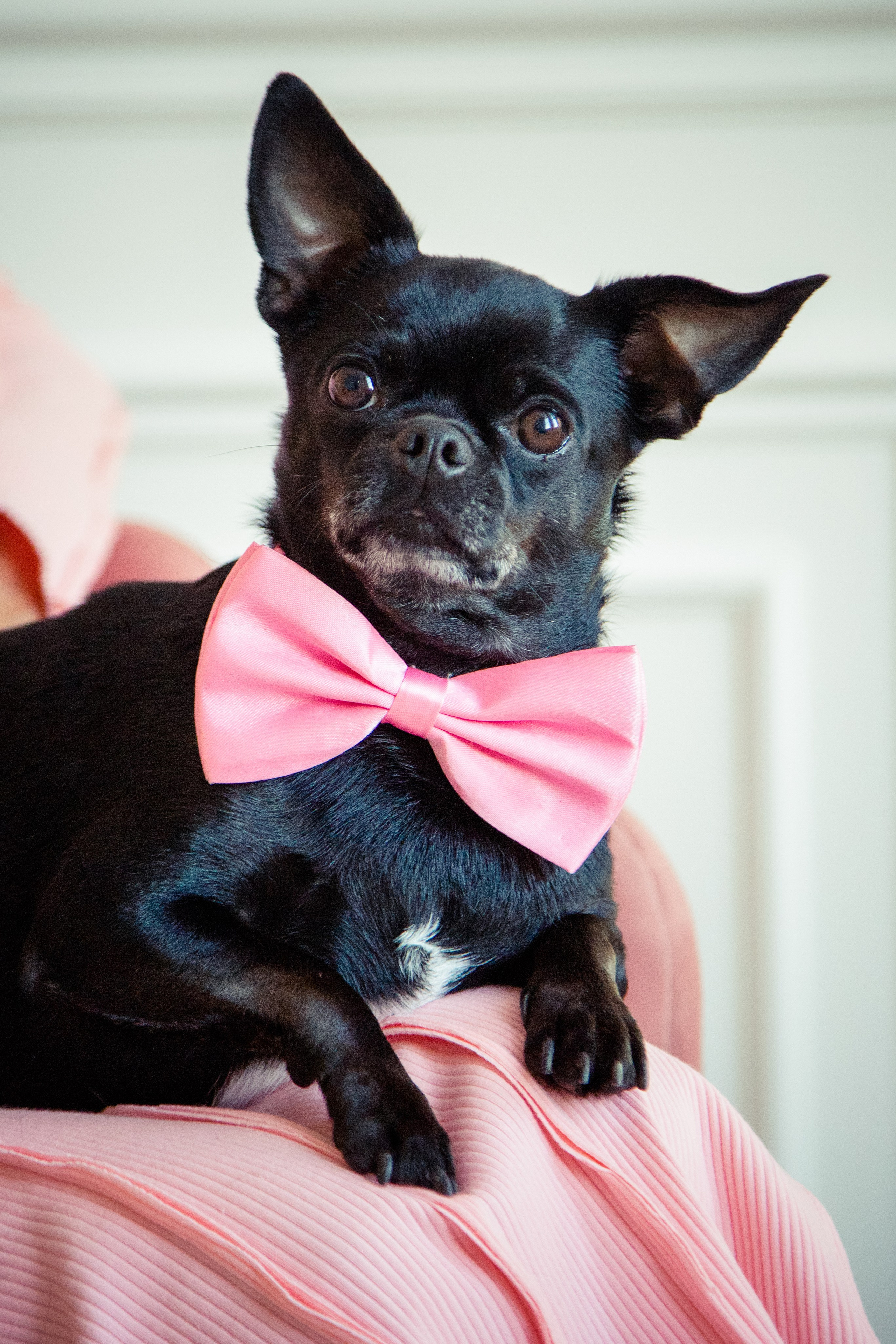 Фотосессия беременности в студии. X-Place студия в Москве. Свадебный и семейный фотограф в Москве и Подмосковье Лариса Козлова