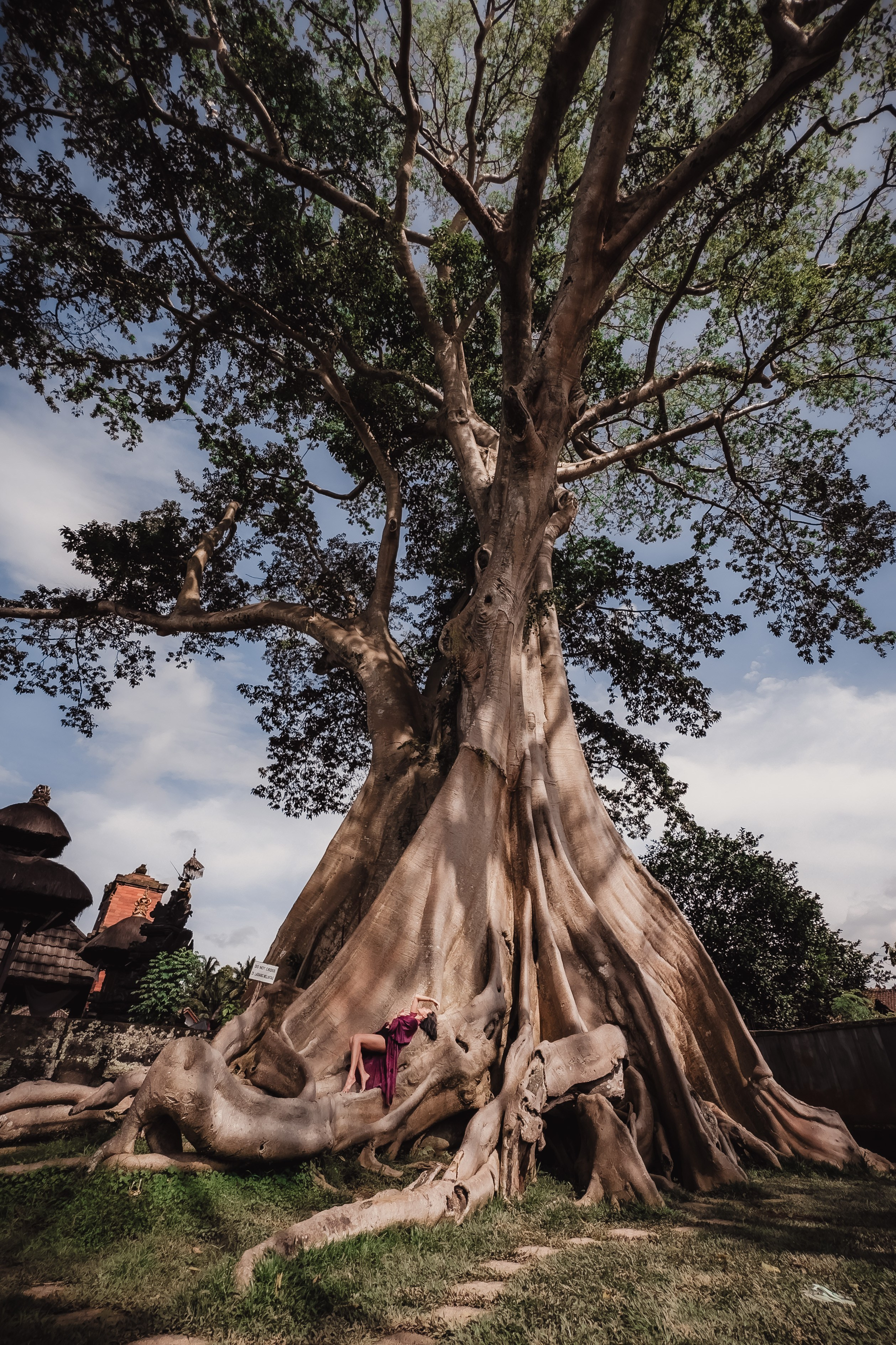 Banyan date. Mariam Bagdasaryan