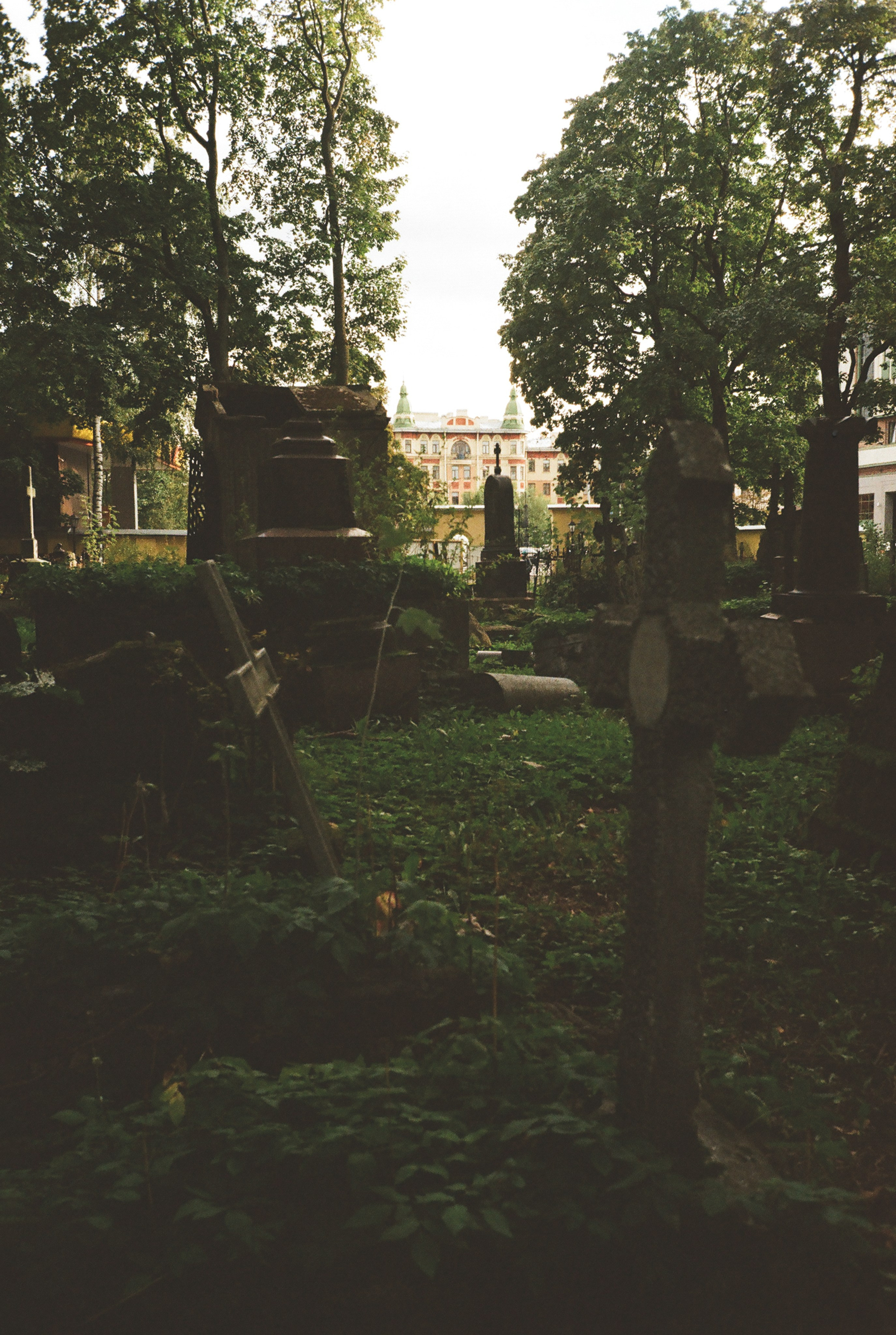 Фотографии цветные. Свадебный и семейный пленочный фотограф в Петербурге Истомина Ирина