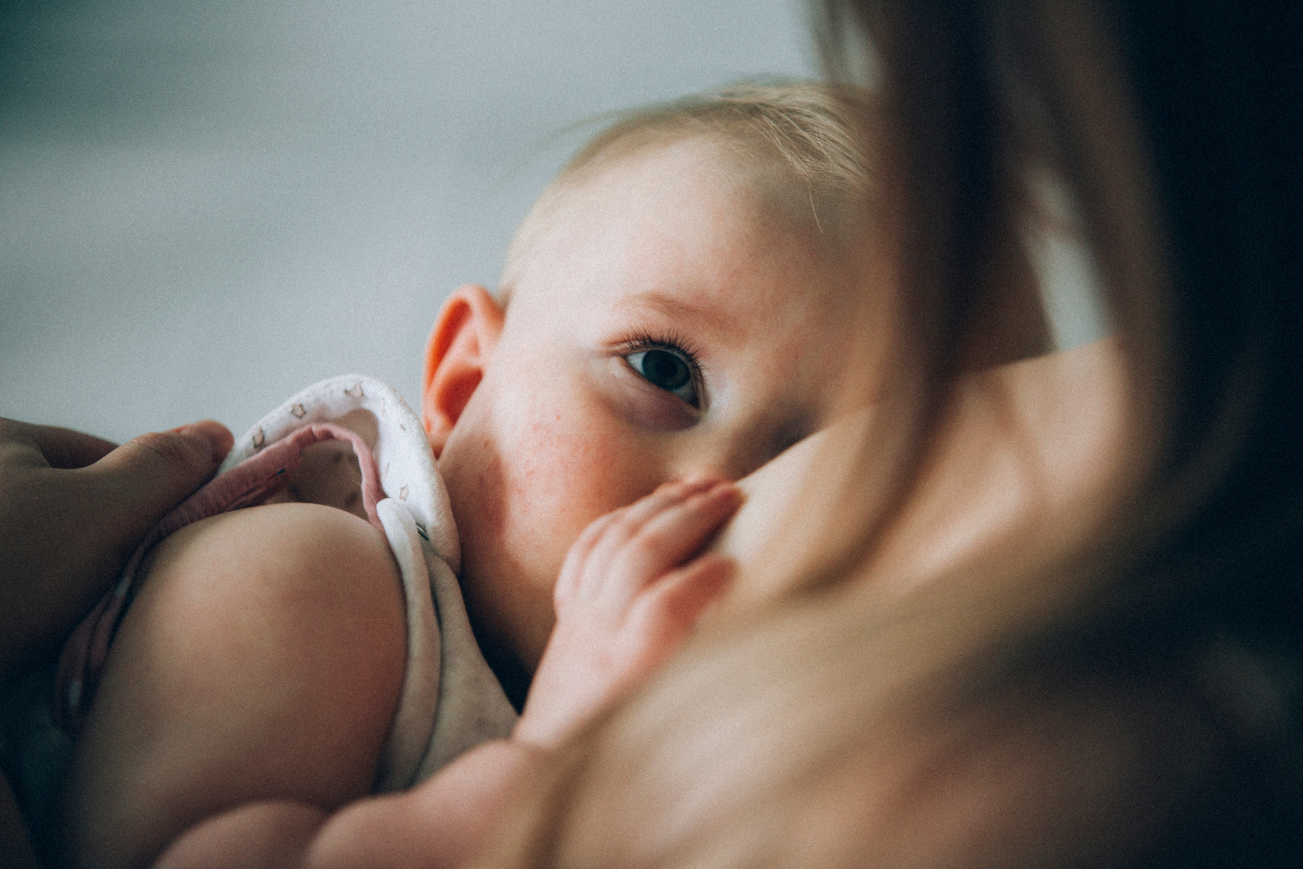 СЕМЬЯ. Свадебный и семейный пленочный фотограф в Петербурге Истомина Ирина