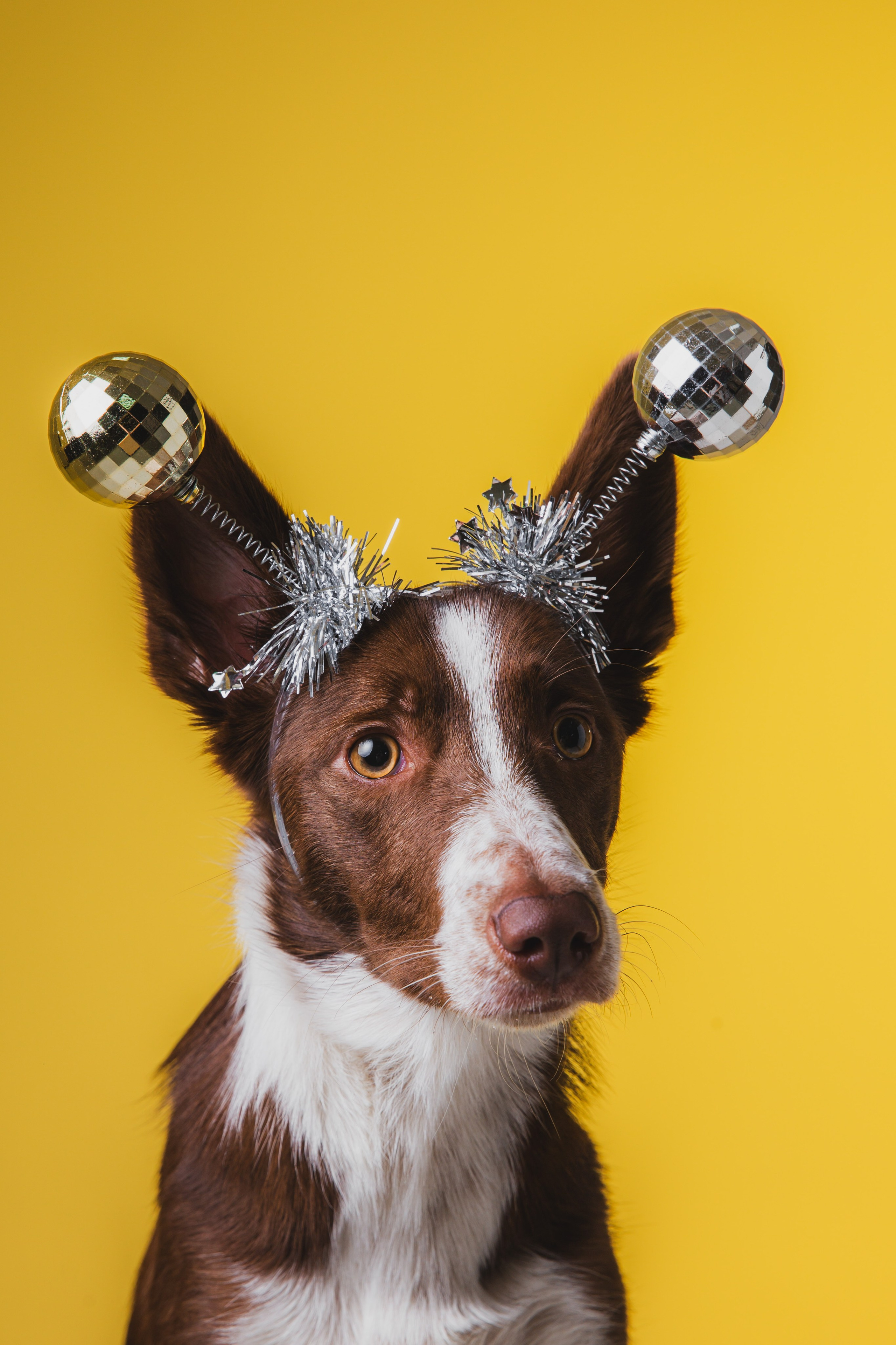 Воркшоп по импульсному свету