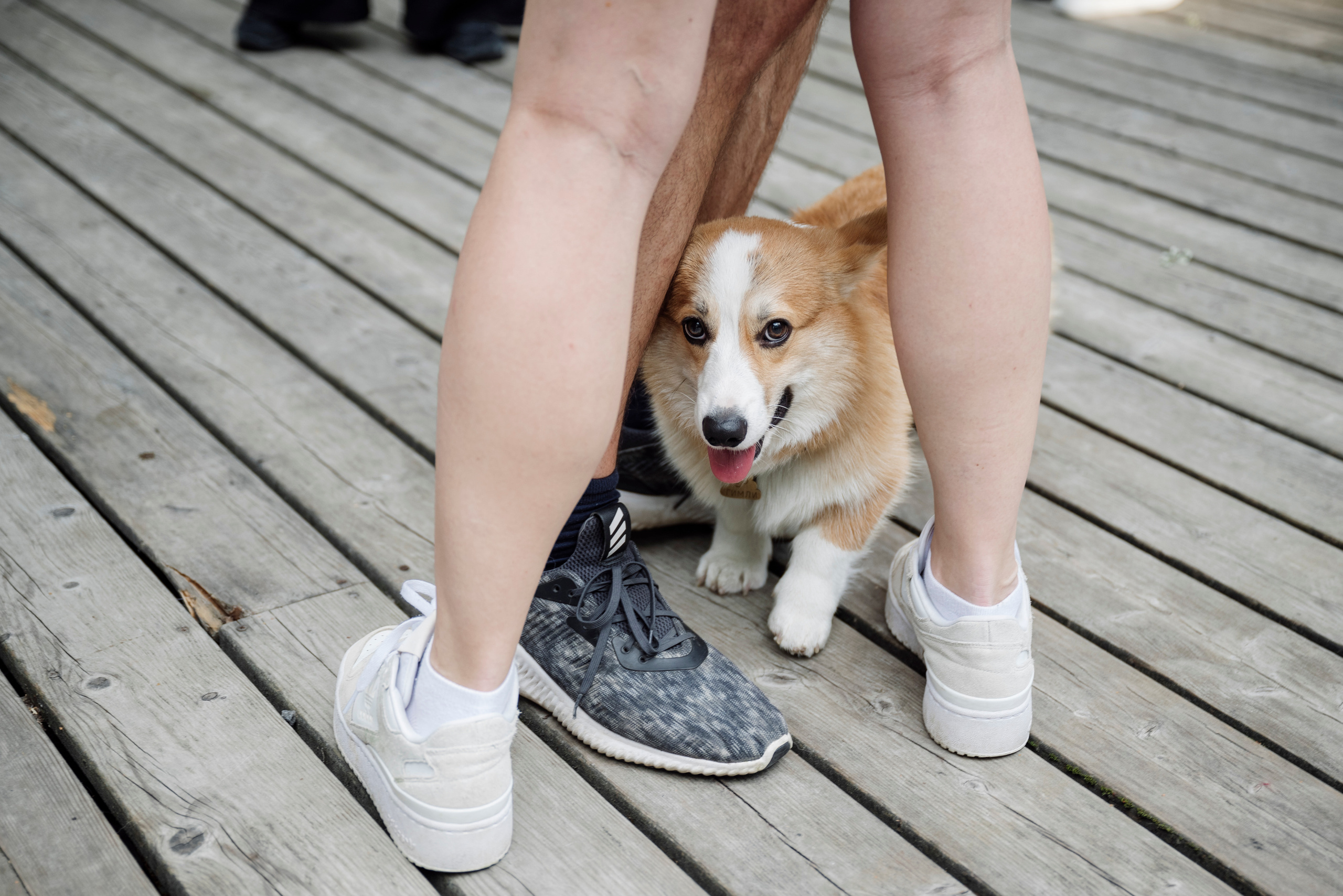 Свадебная вечеринка Димы и Насти. Свадебный фотограф в Москве Григорий Аргунов
