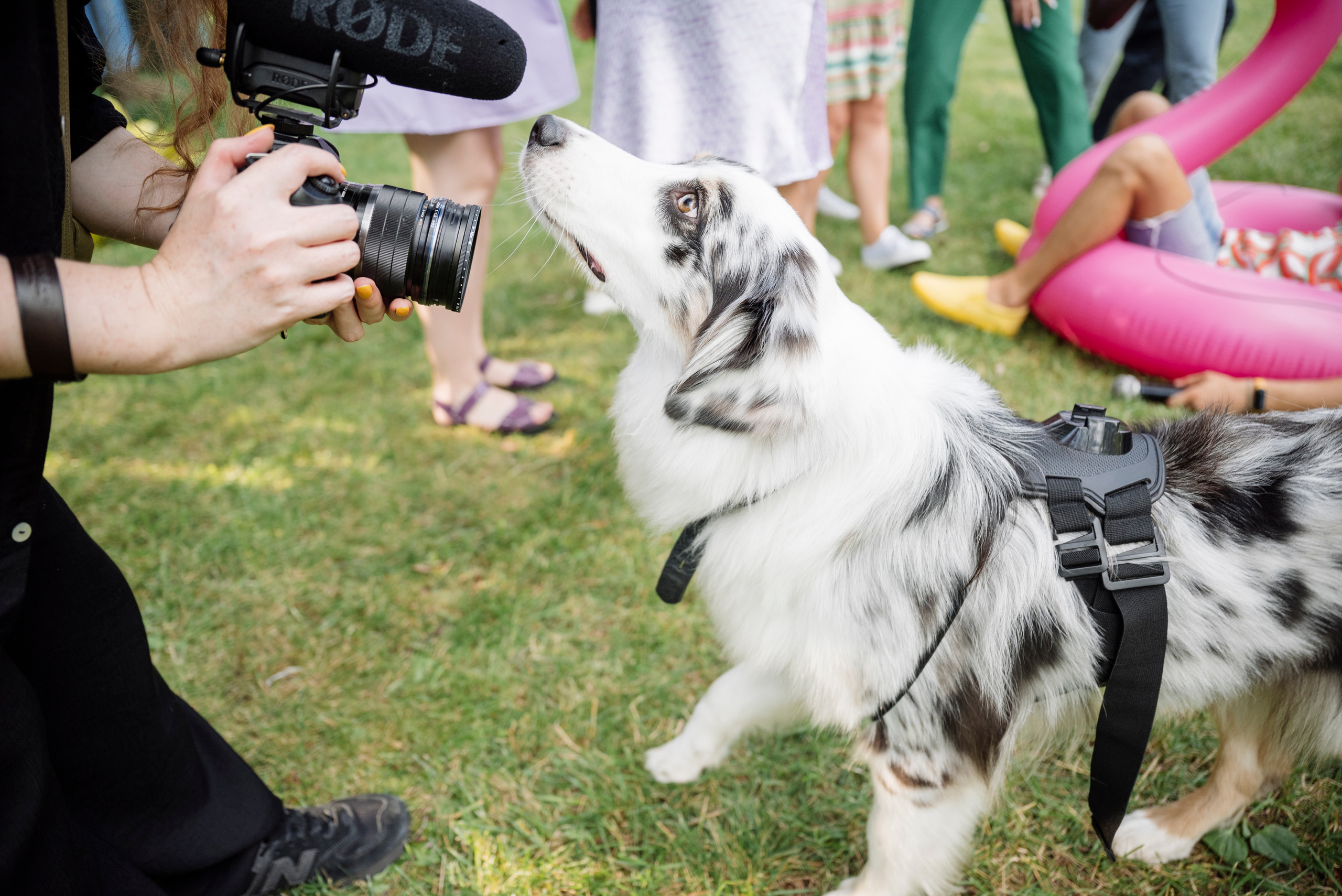 Свадебная вечеринка Димы и Насти. Свадебный фотограф в Москве Григорий Аргунов