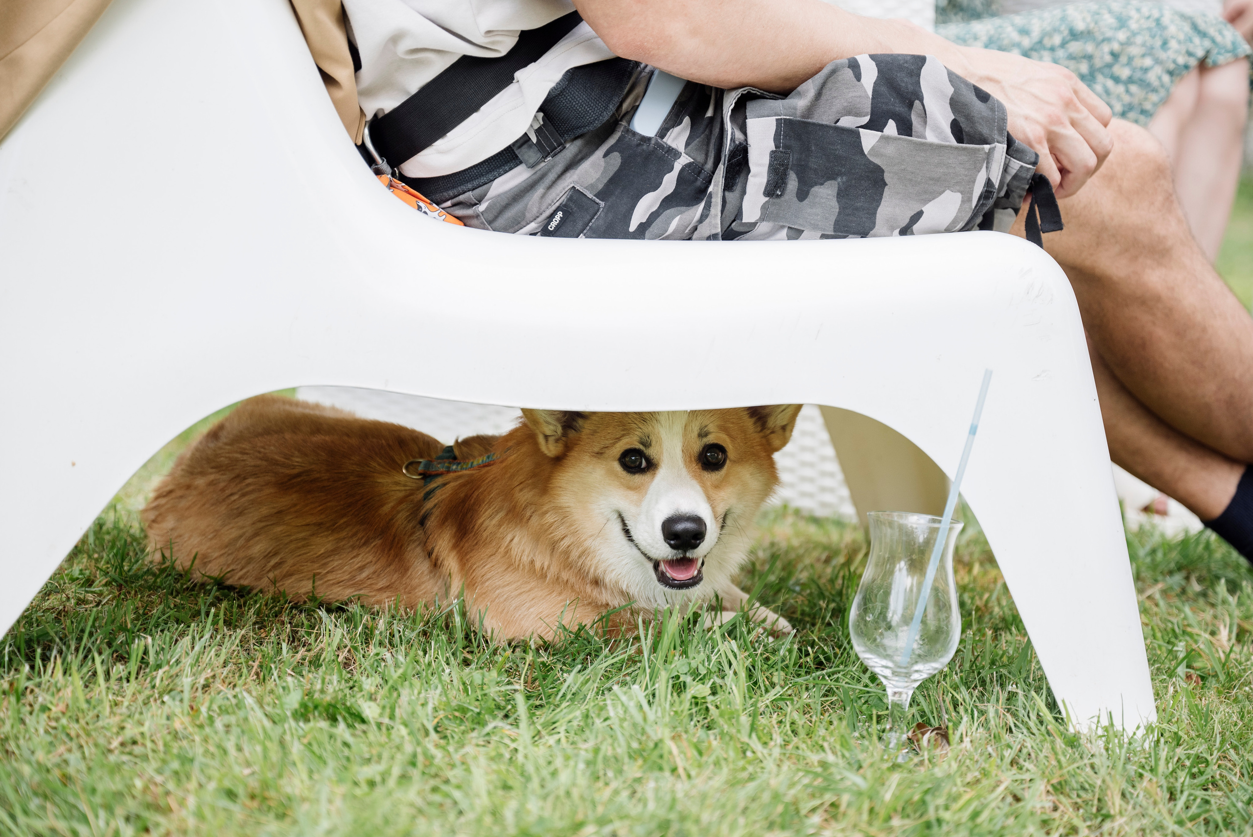 Свадебная вечеринка Димы и Насти. Свадебный фотограф в Москве Григорий Аргунов