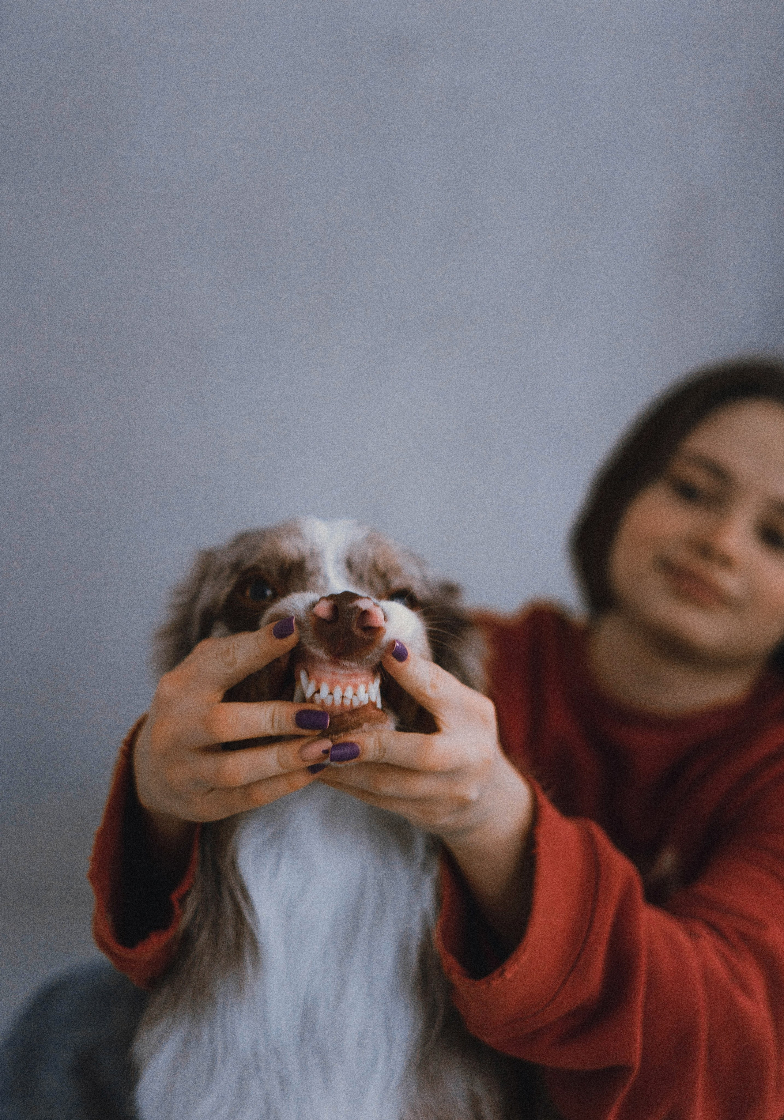 Аня и Дэймон. Фотограф-анималист Богданова Полина