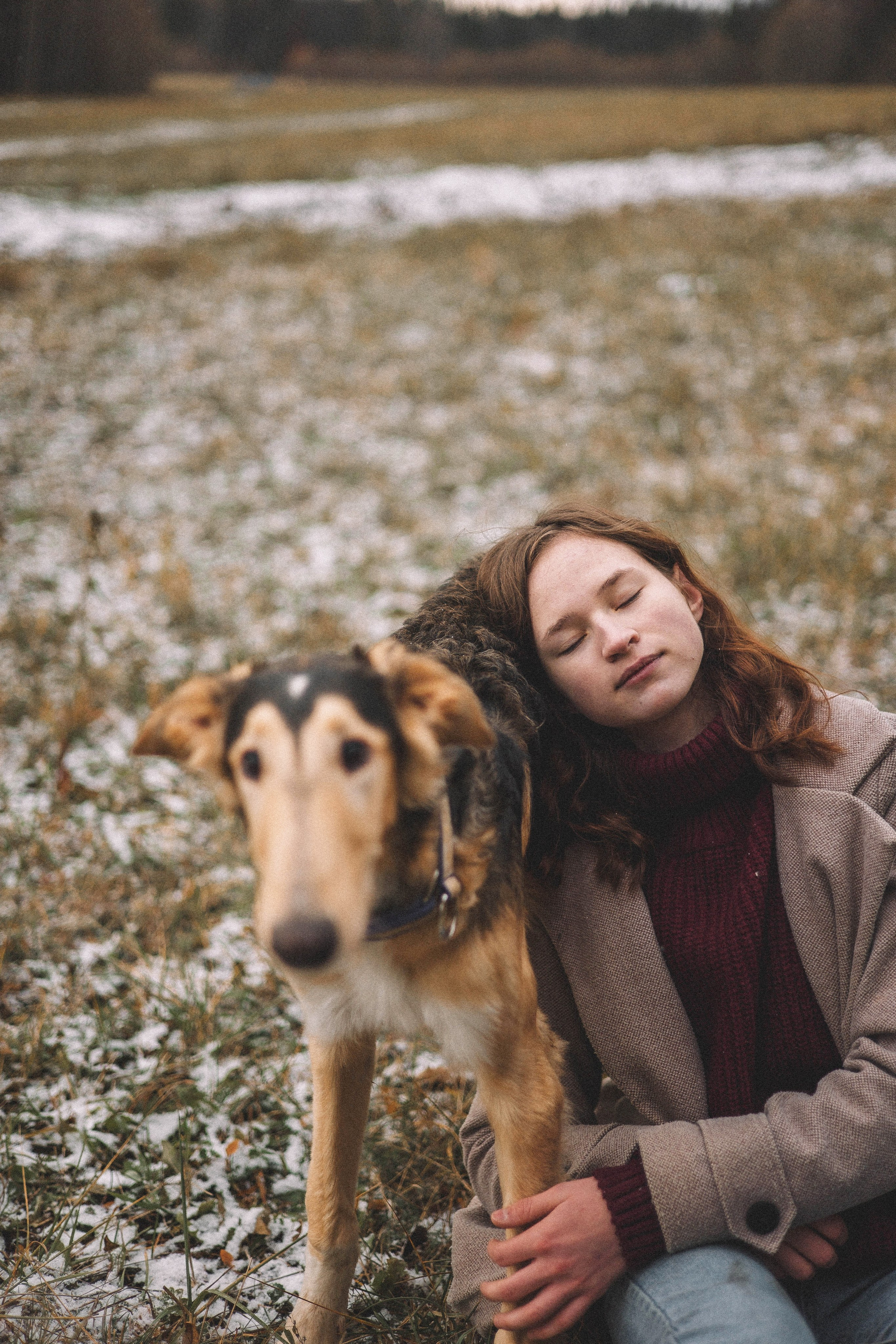 Алена, Леви и Микаса. Фотограф-анималист Богданова Полина