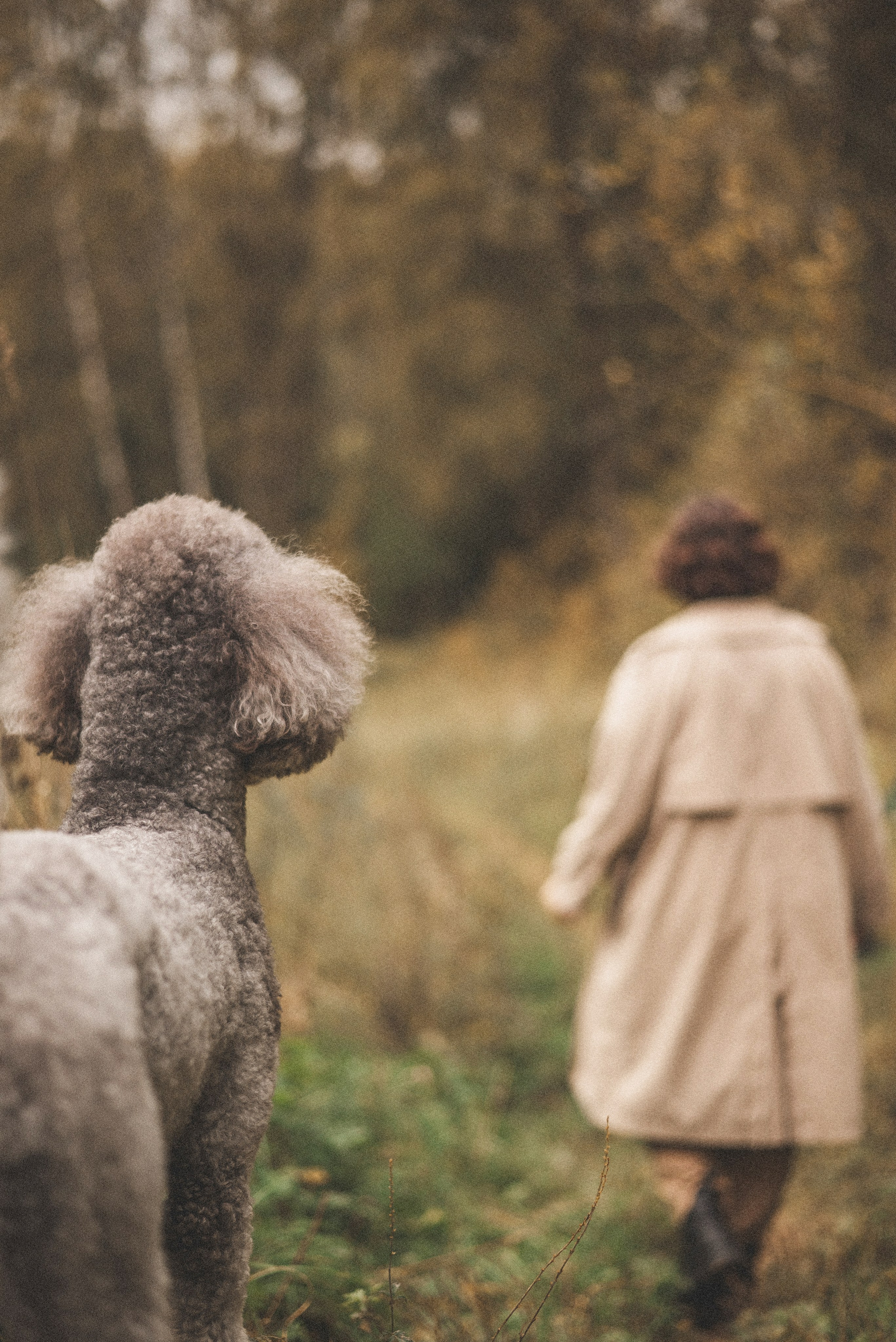 Алёна и Смоки. Фотограф-анималист Богданова Полина