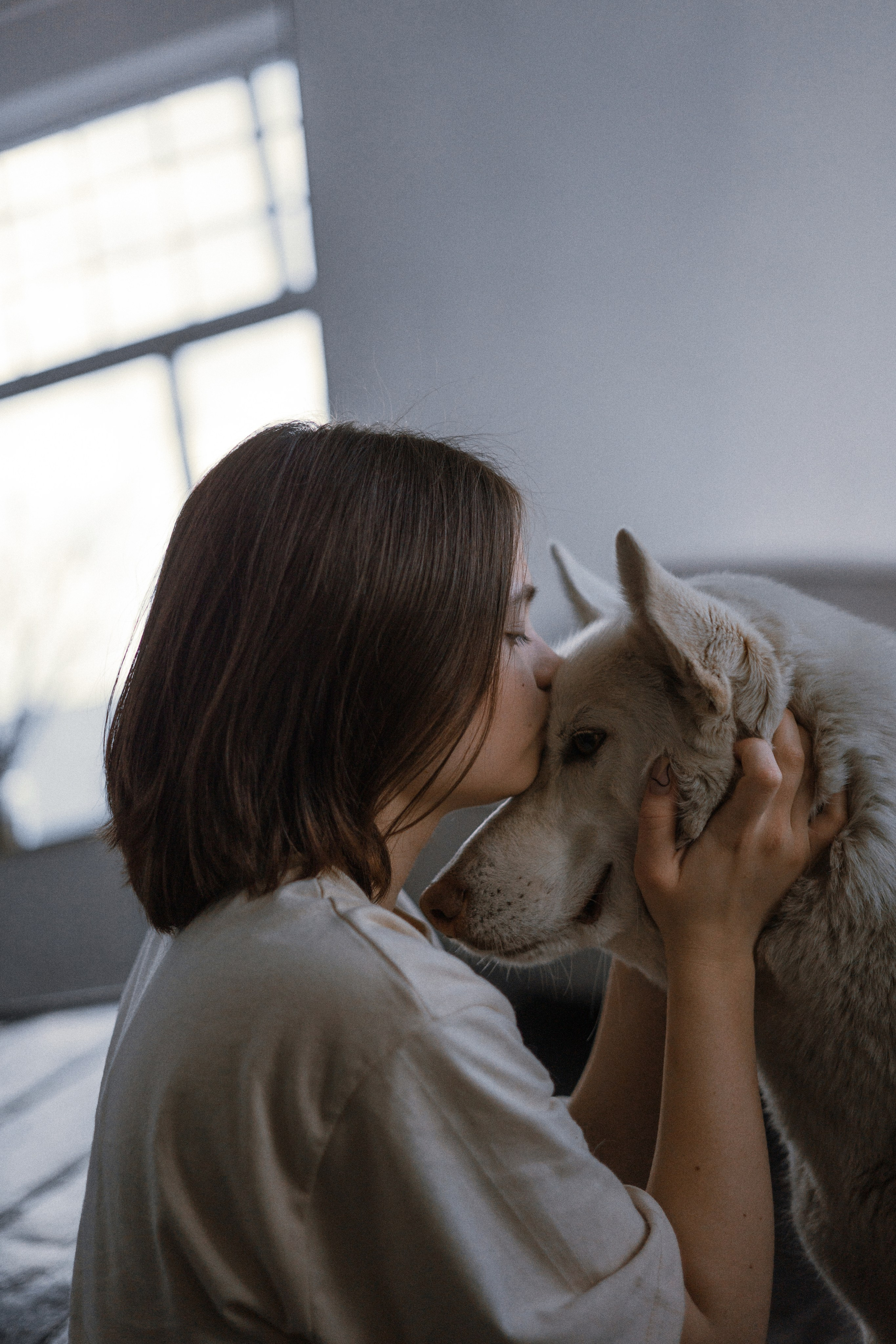 Аня, Дэймон и Грэй. Фотограф-анималист Богданова Полина
