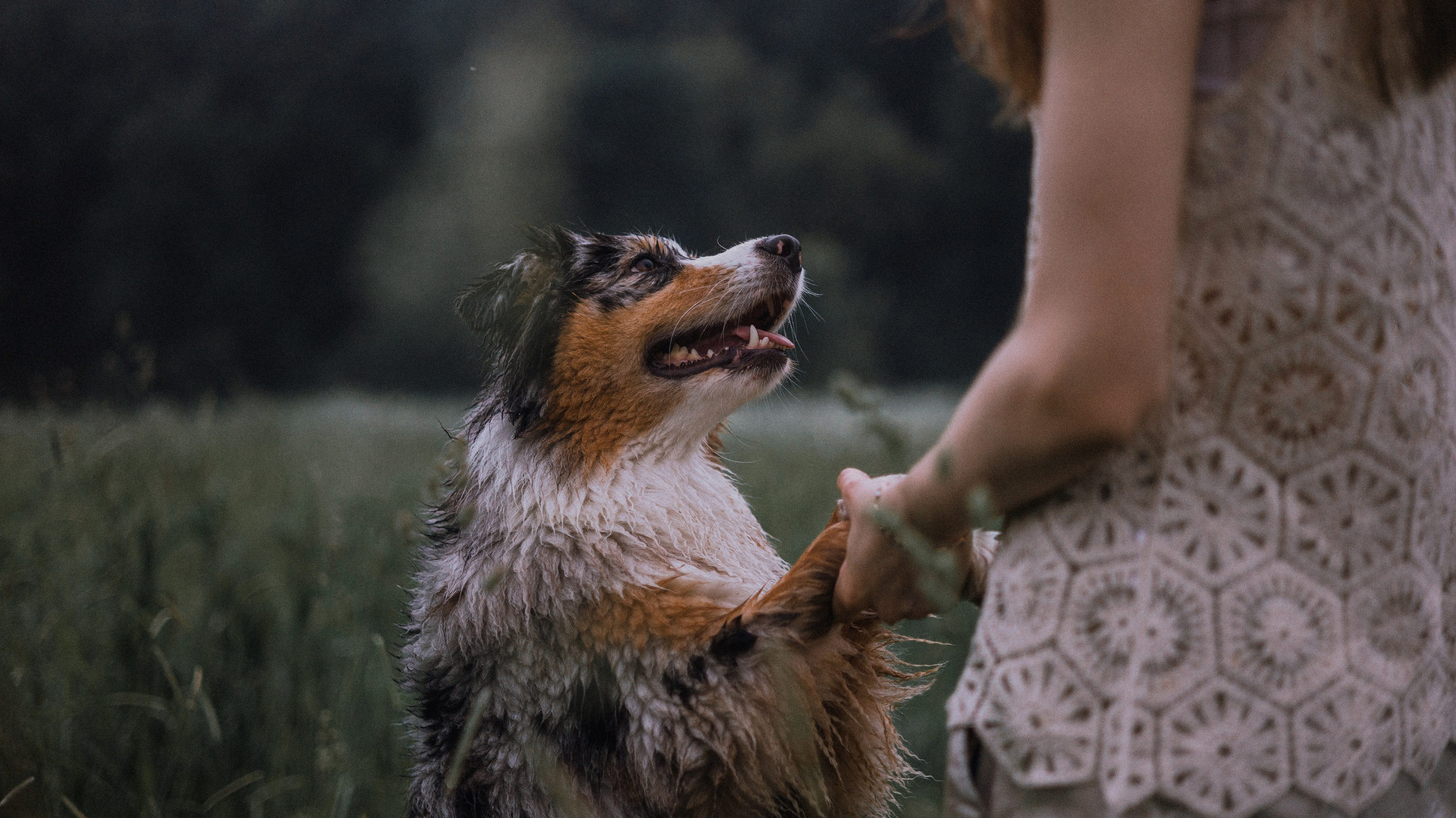 Маша и Долли. Фотограф-анималист Богданова Полина