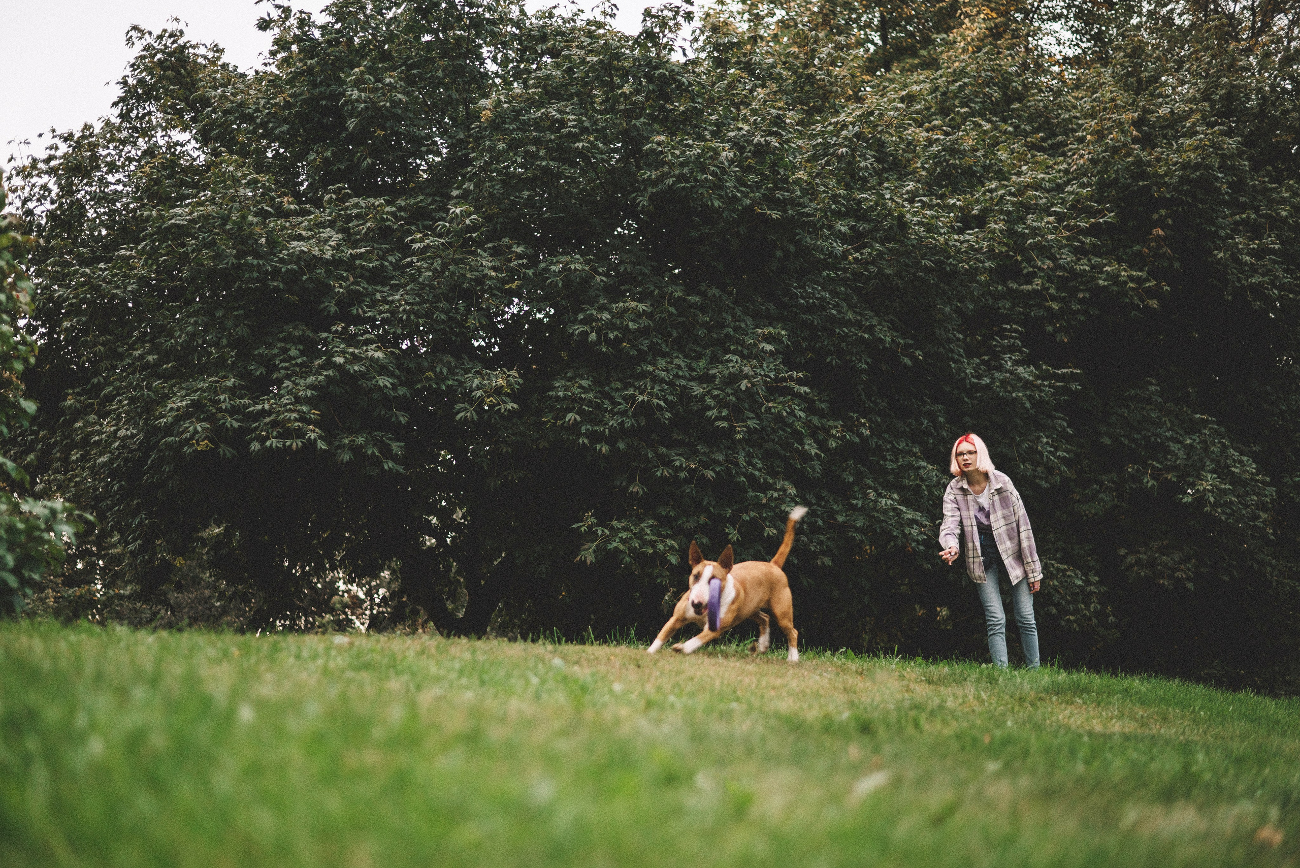 Маша и Рулька. Фотограф-анималист Богданова Полина