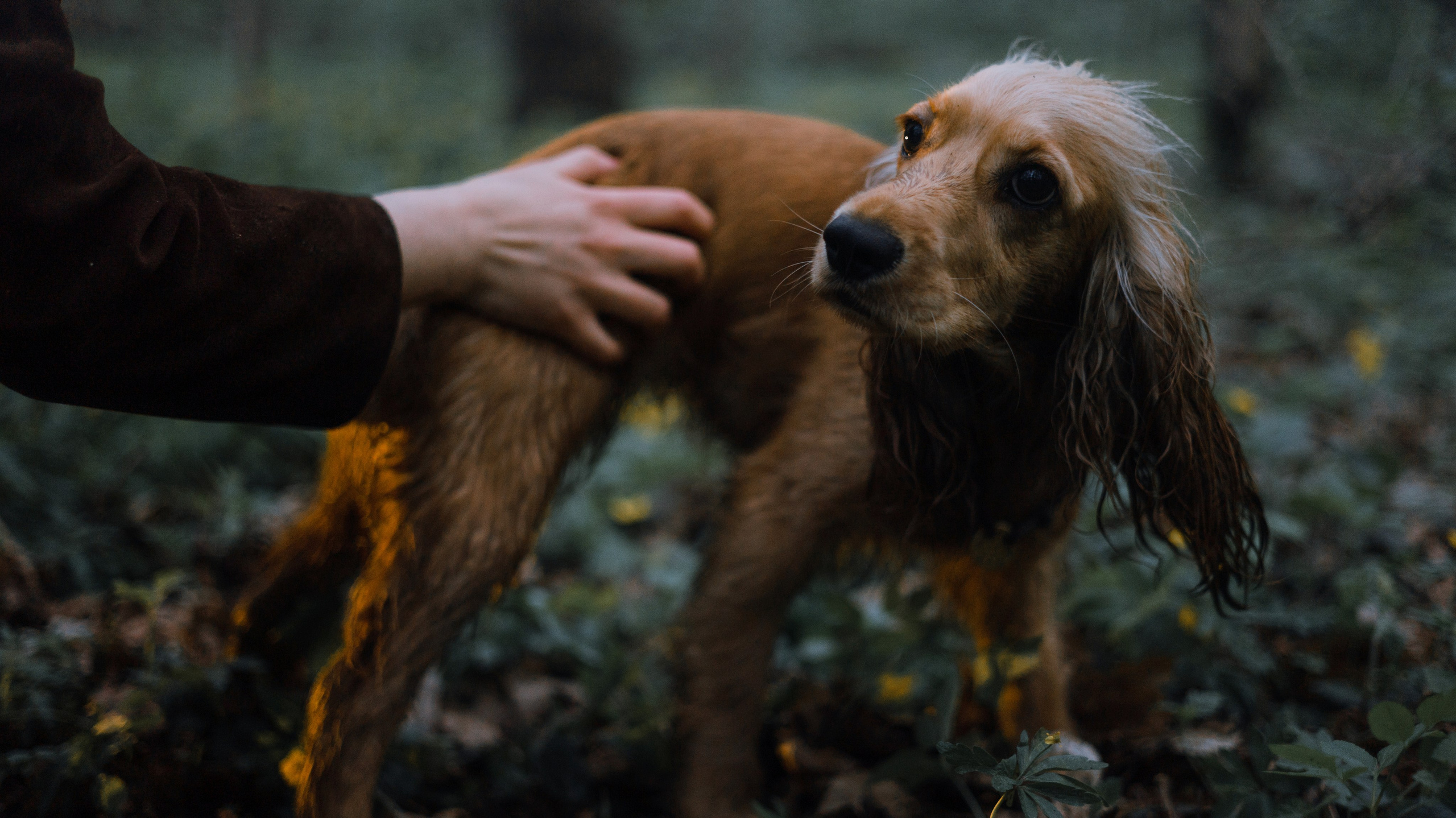 Аня и Юта. Фотограф-анималист Богданова Полина
