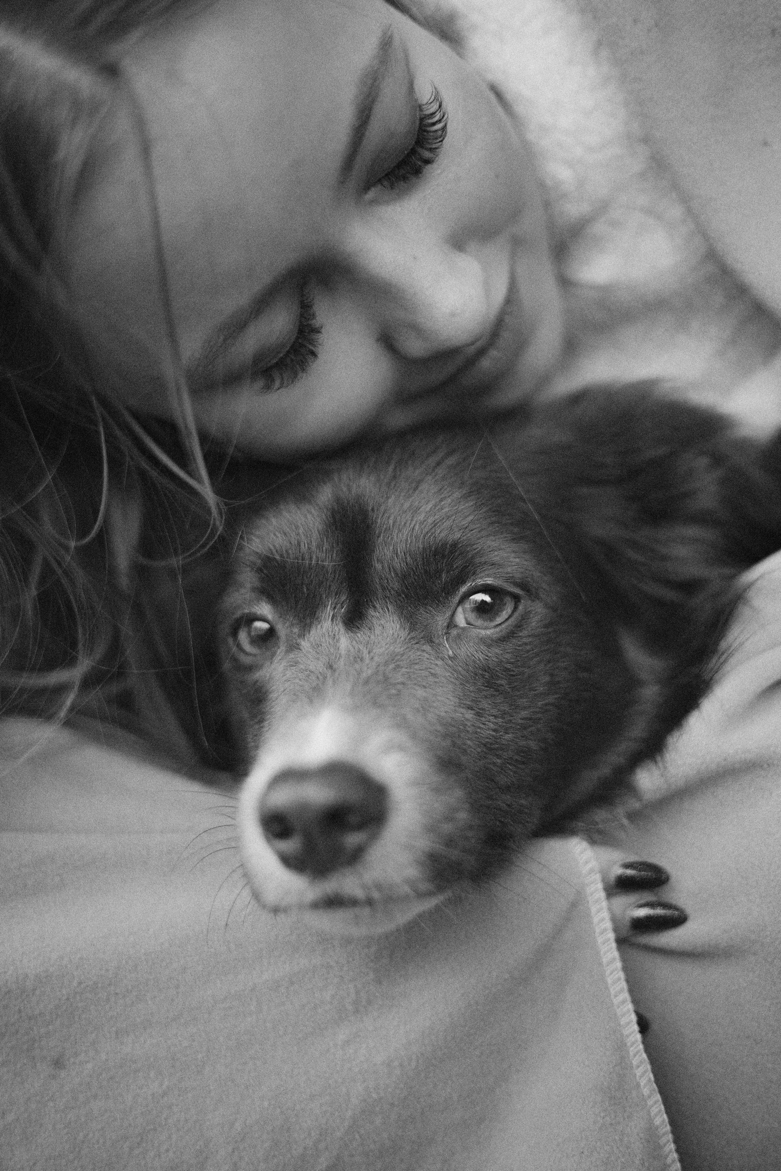 Даша и Дже. Фотограф-анималист Богданова Полина