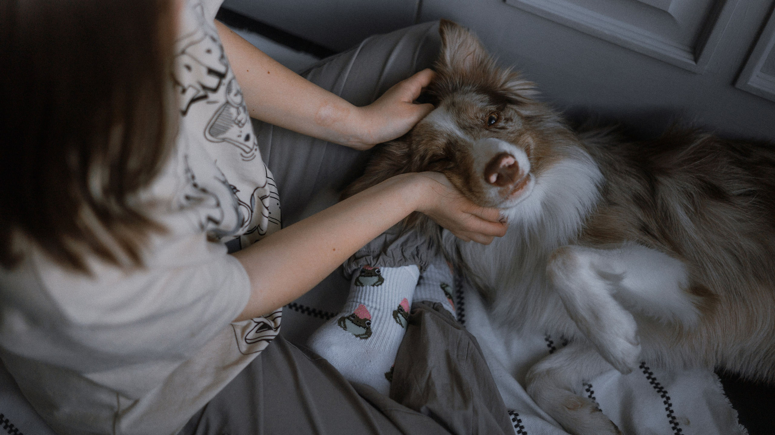 Аня, Дэймон и Грэй. Фотограф-анималист Богданова Полина