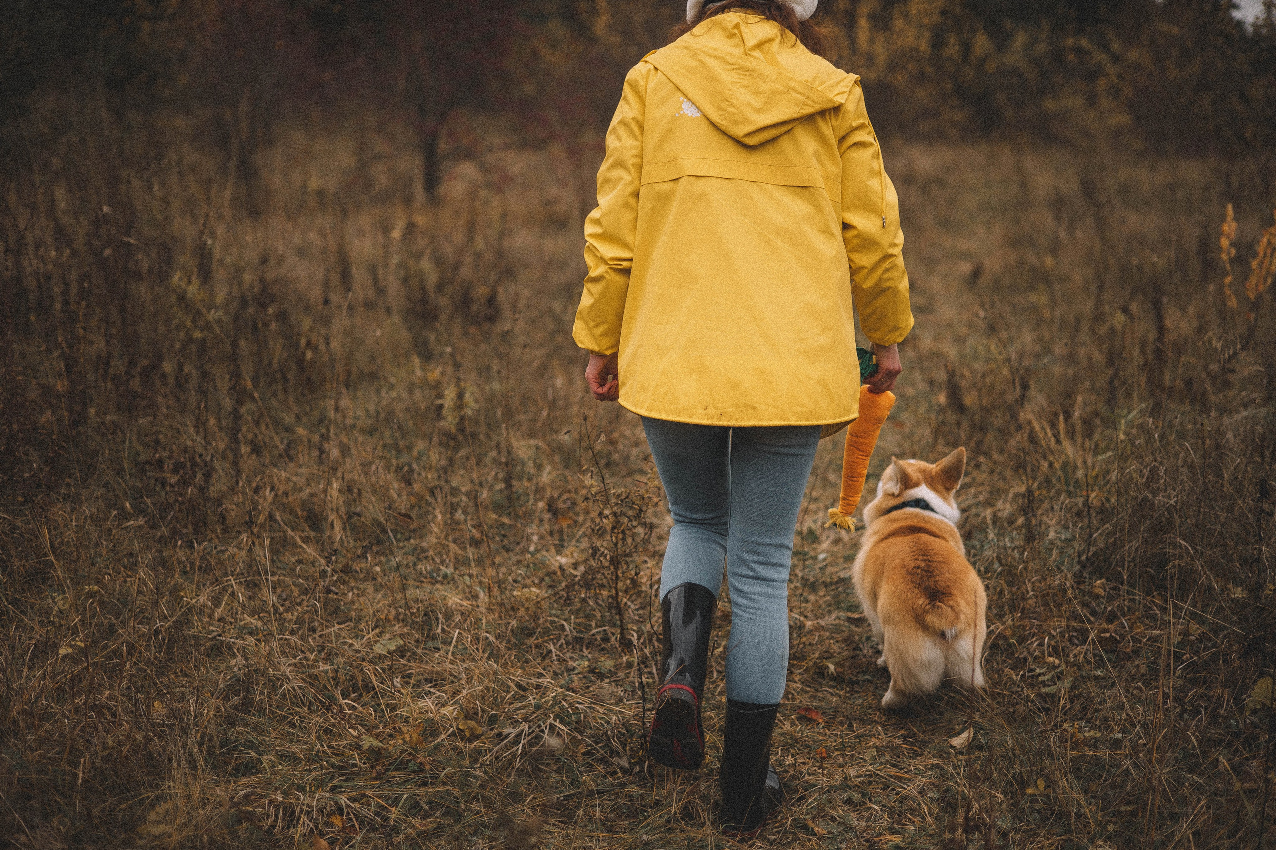 Юля и барри. Фотограф-анималист Богданова Полина