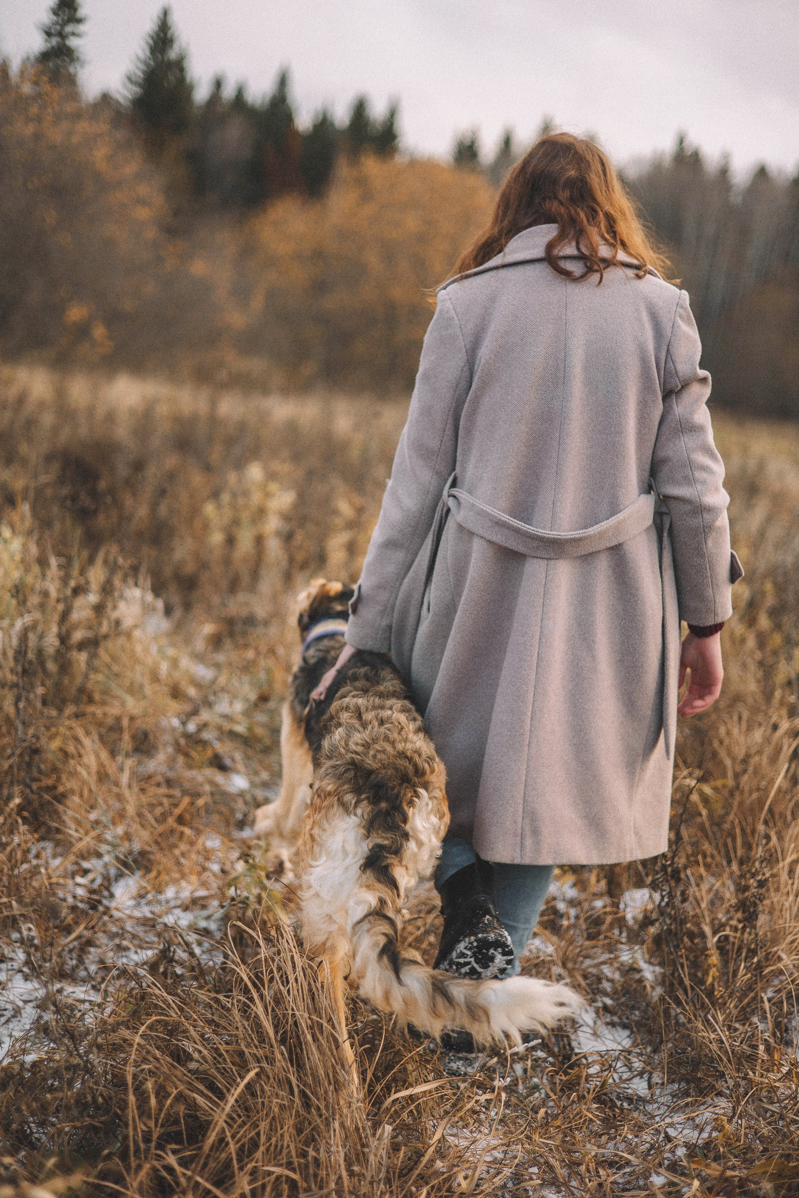 Алена, Леви и Микаса. Фотограф-анималист Богданова Полина