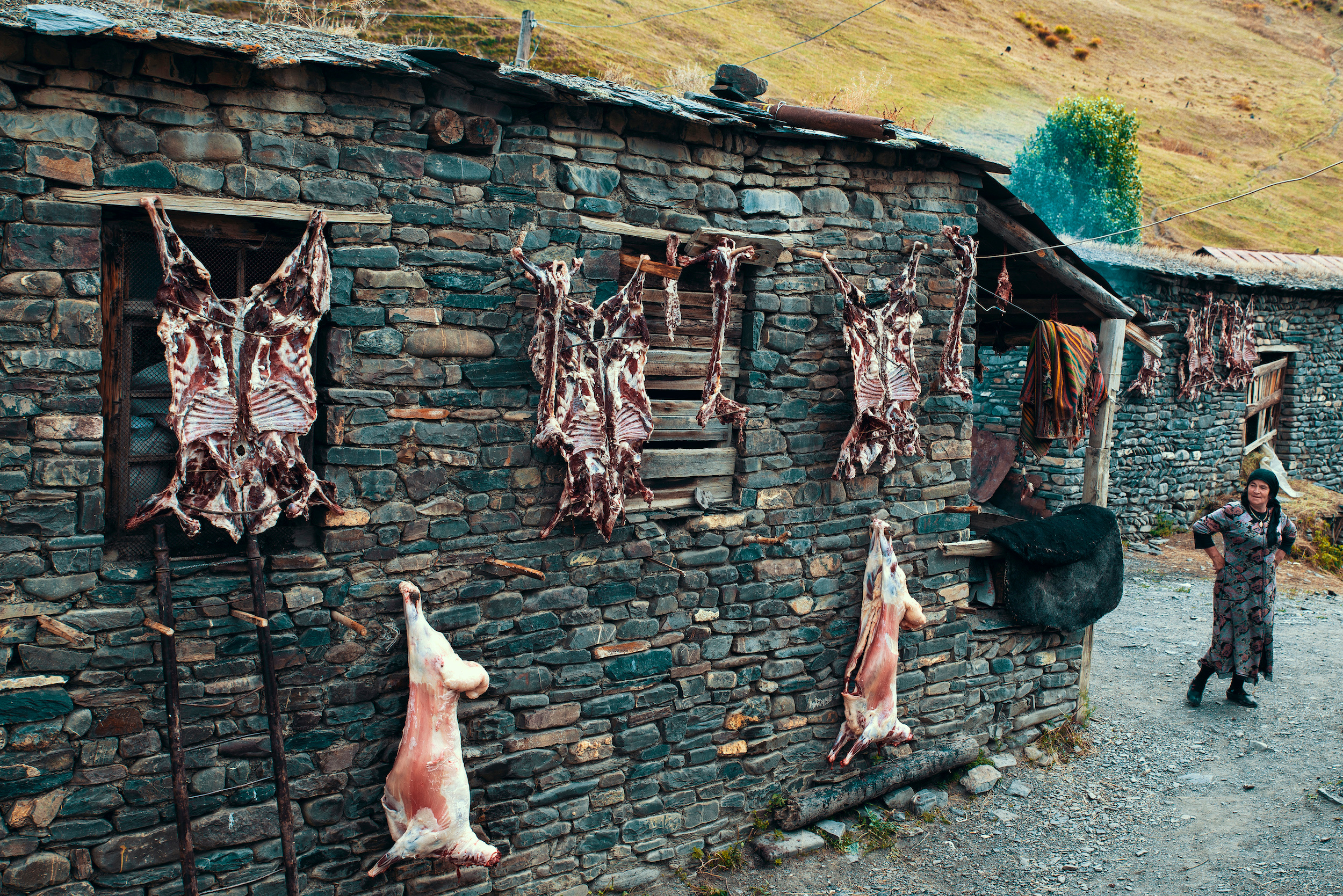 Бараньи туши развешивают на стенах