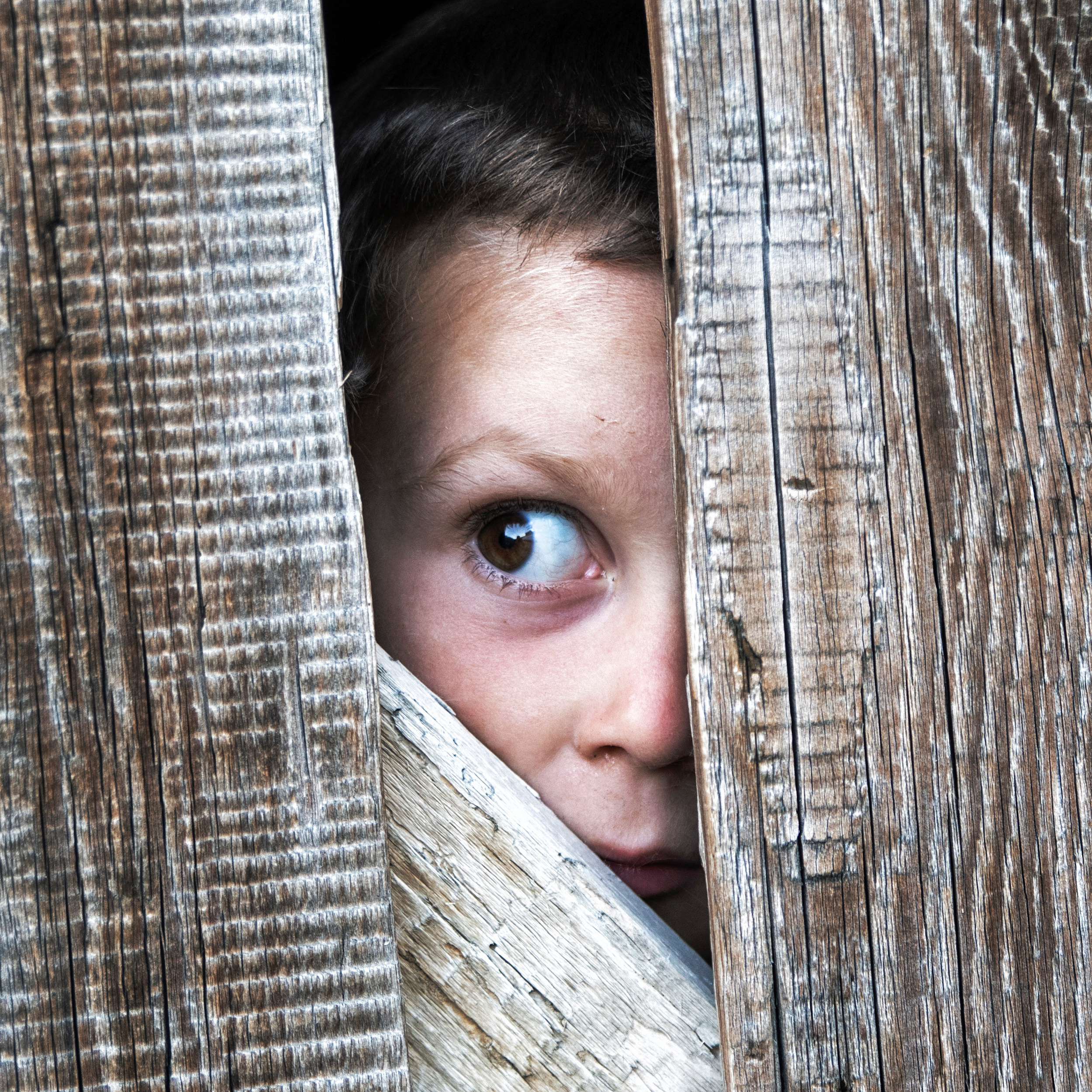 Дети играют за забором