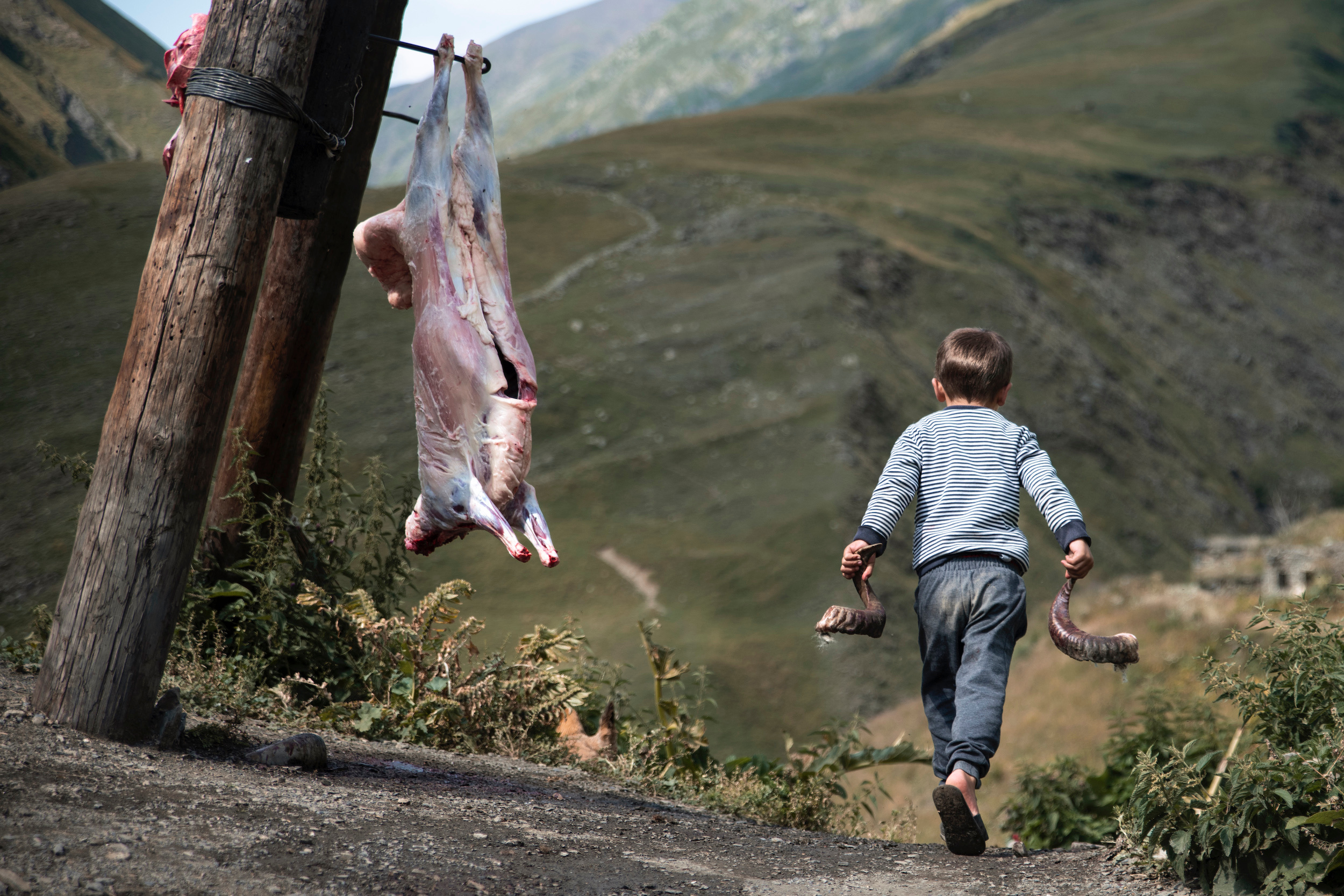 Мальчик играет с рогами жертвенного барана