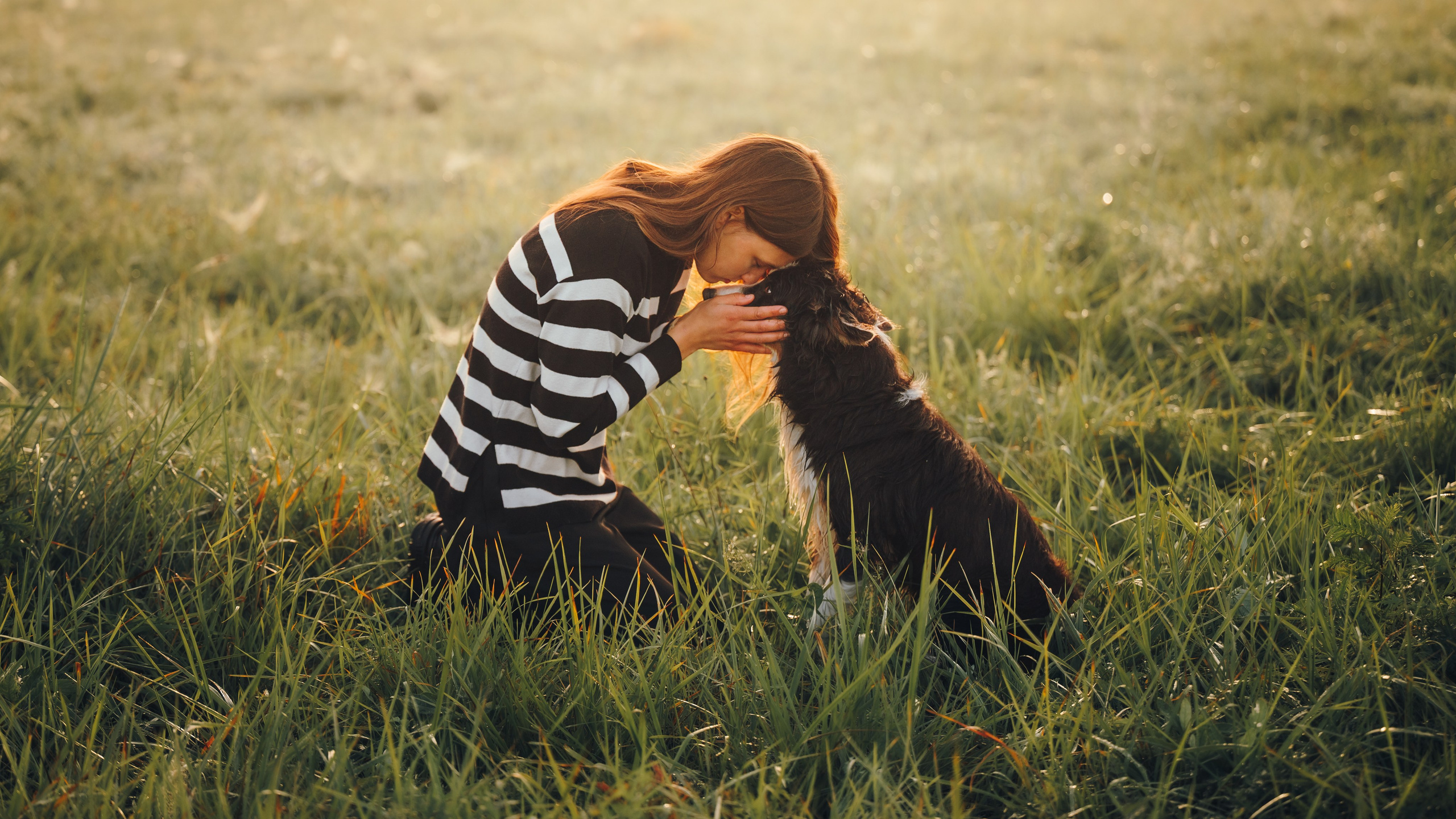 Саша, Флик и Эсприт. Семейный фотограф анималист Ананьева Мария — Москва