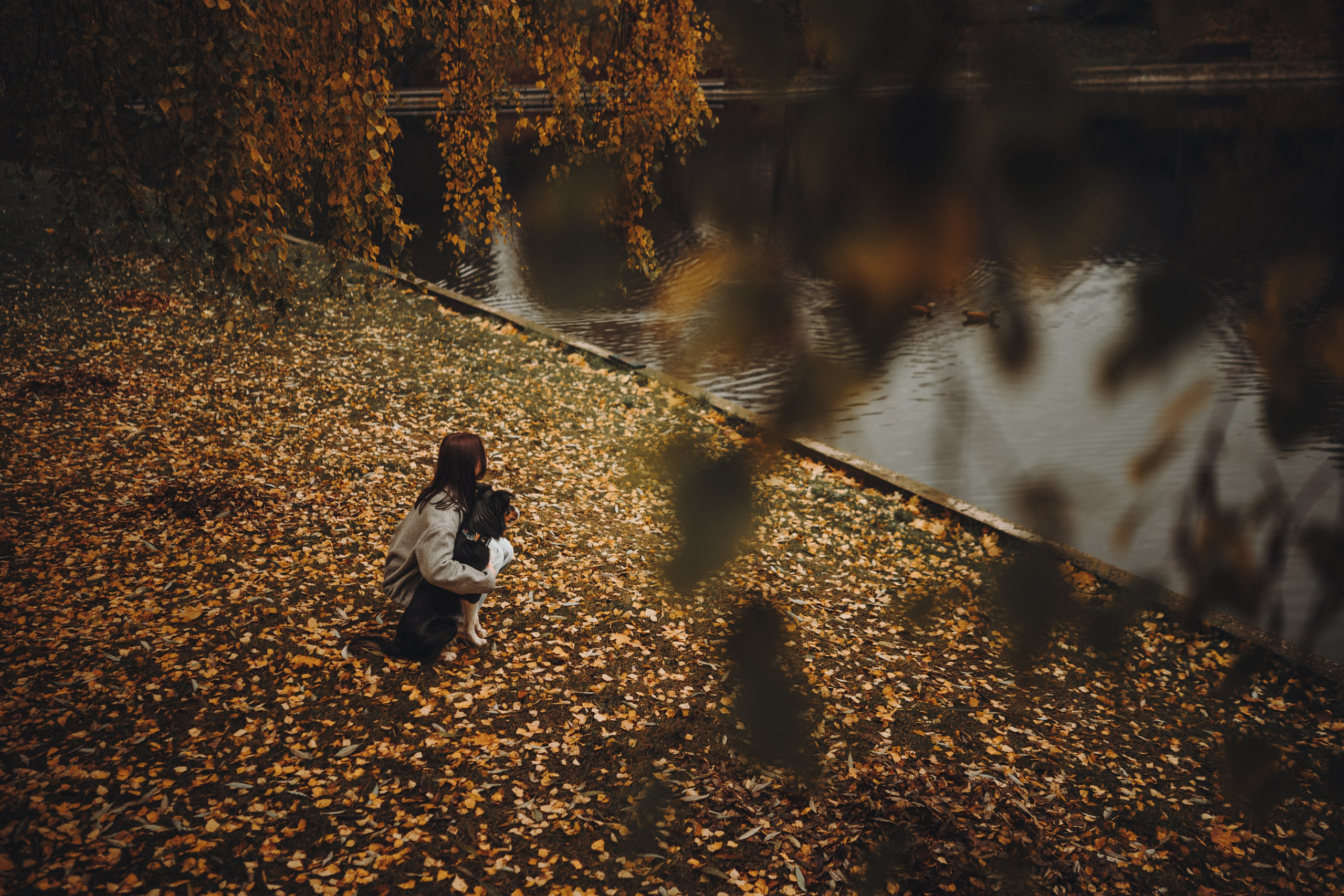 Аня, Оскар и Яр. Семейный фотограф анималист Ананьева Мария — Москва