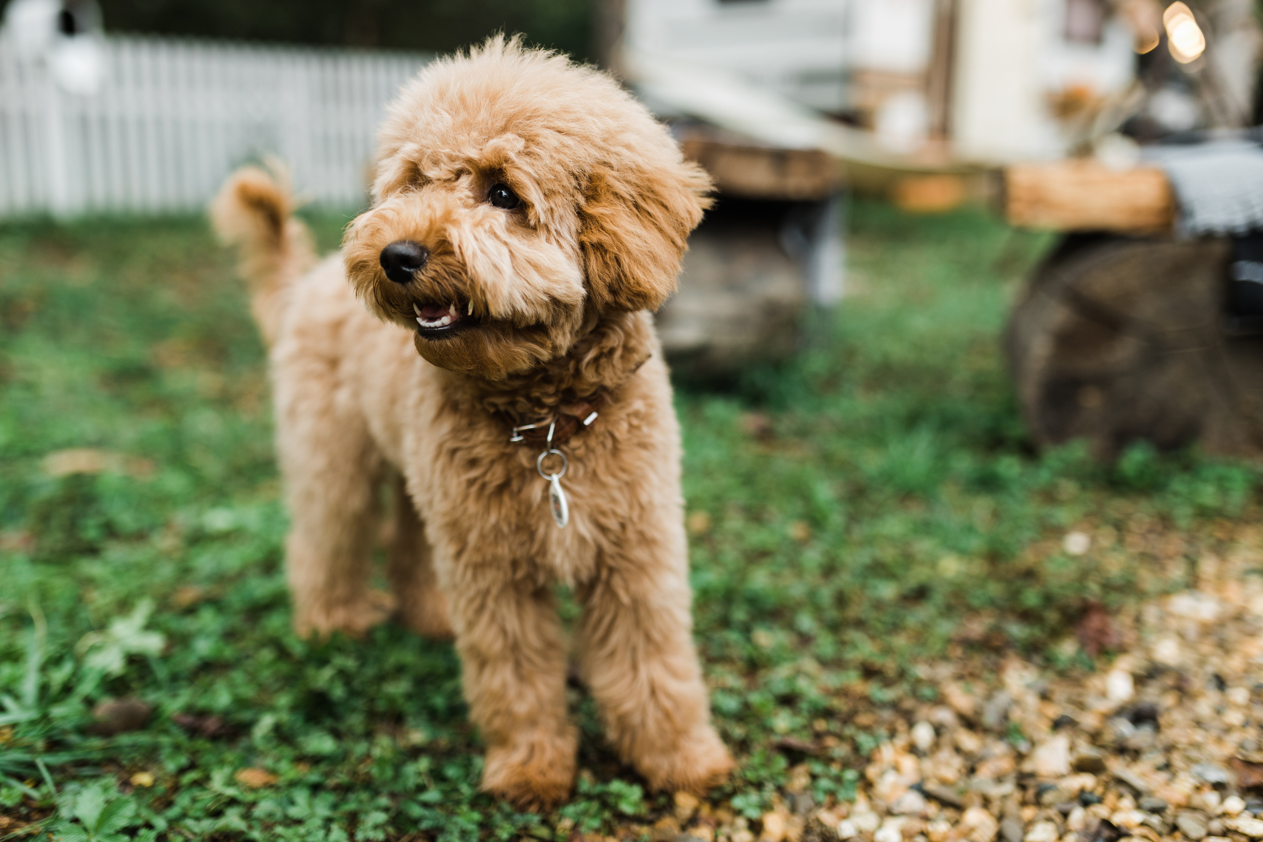 Дима, Саша, Алёна и Макс. Фотограф в Краснодаре Алла Потоцкая