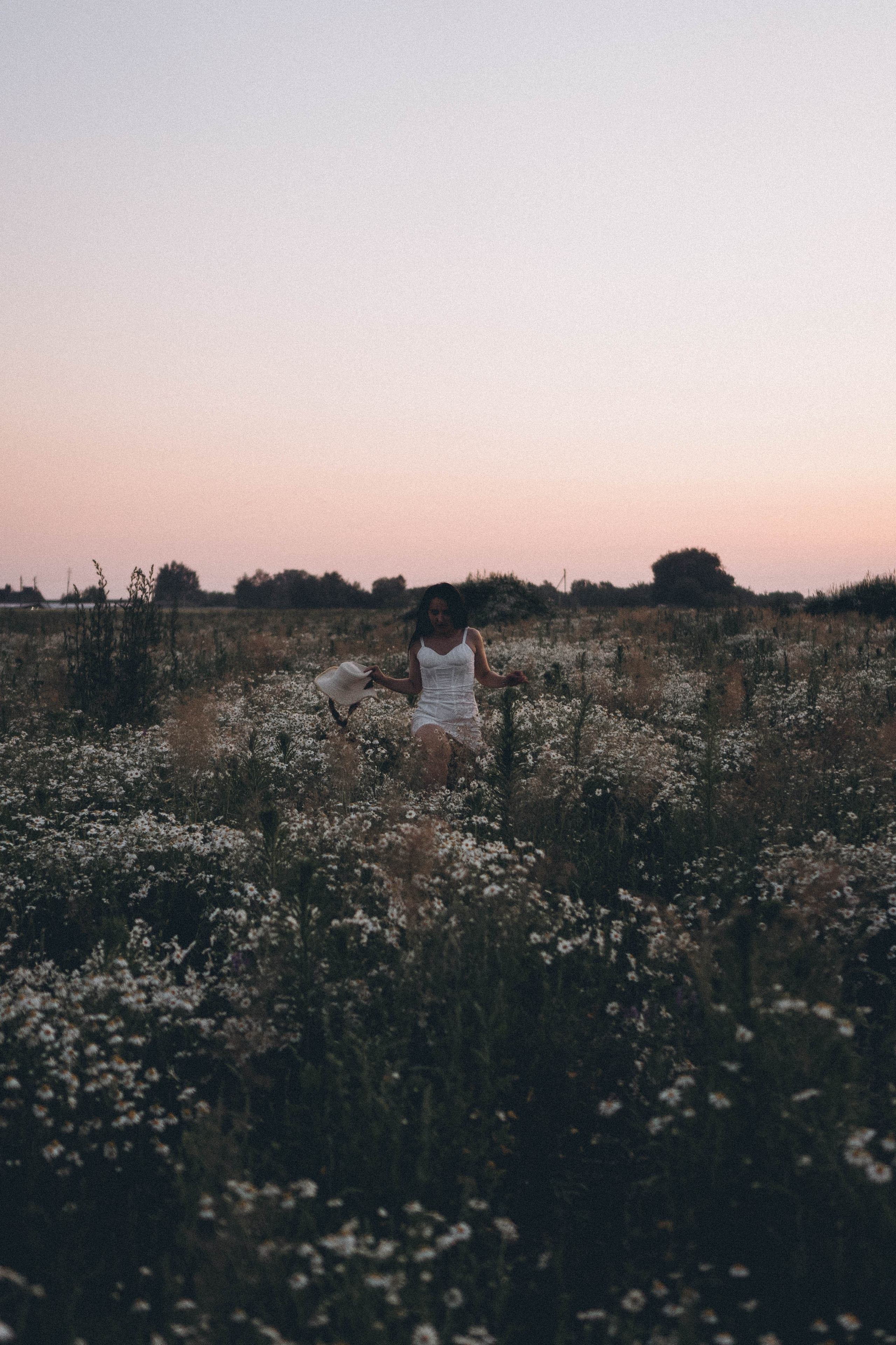 Ромашковое поле. Профессиональный фотограф, Санкт-Петербург — Виктория Богомолова