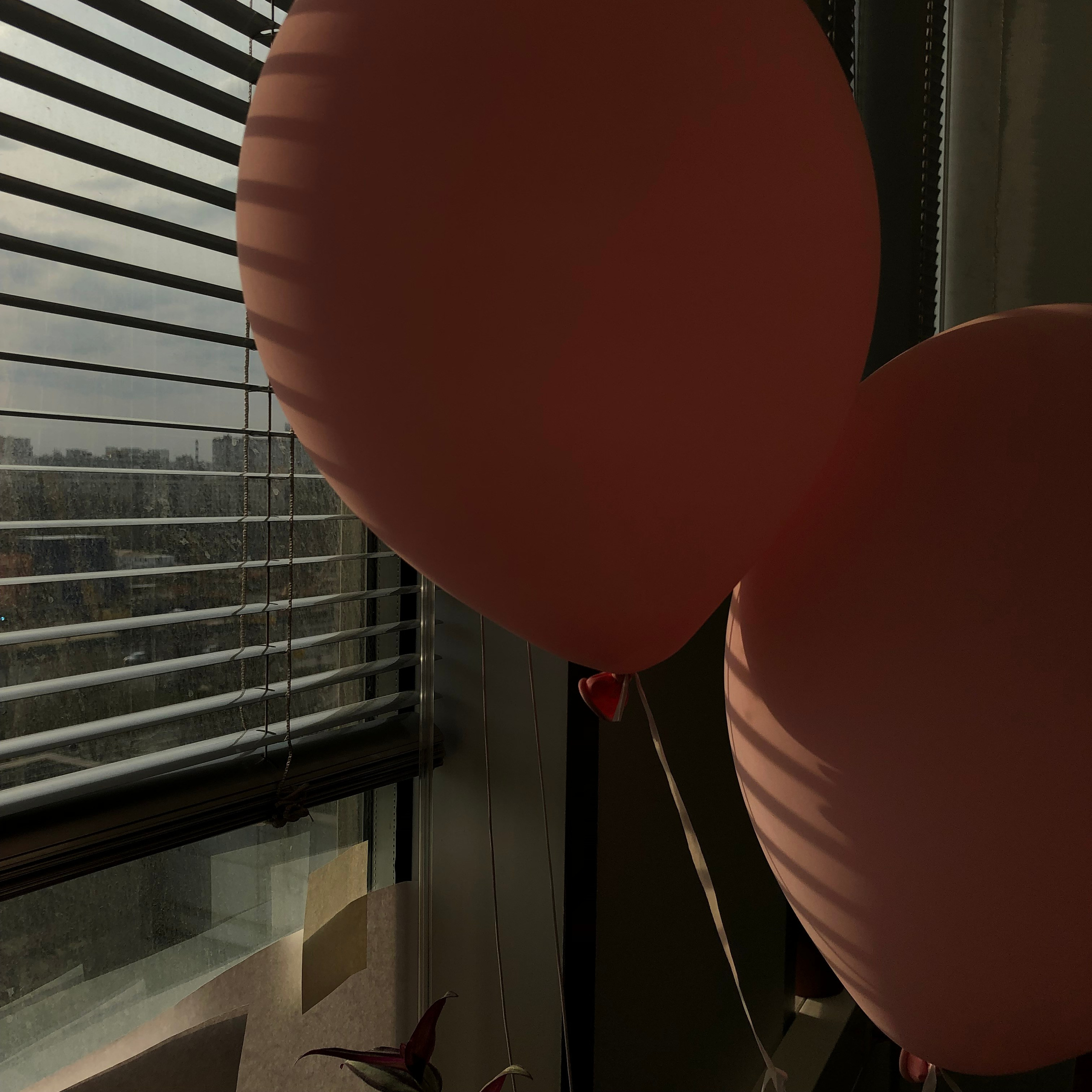 Визуальный дневник. Портретный фотограф в Москве Гахраманова Екатерина